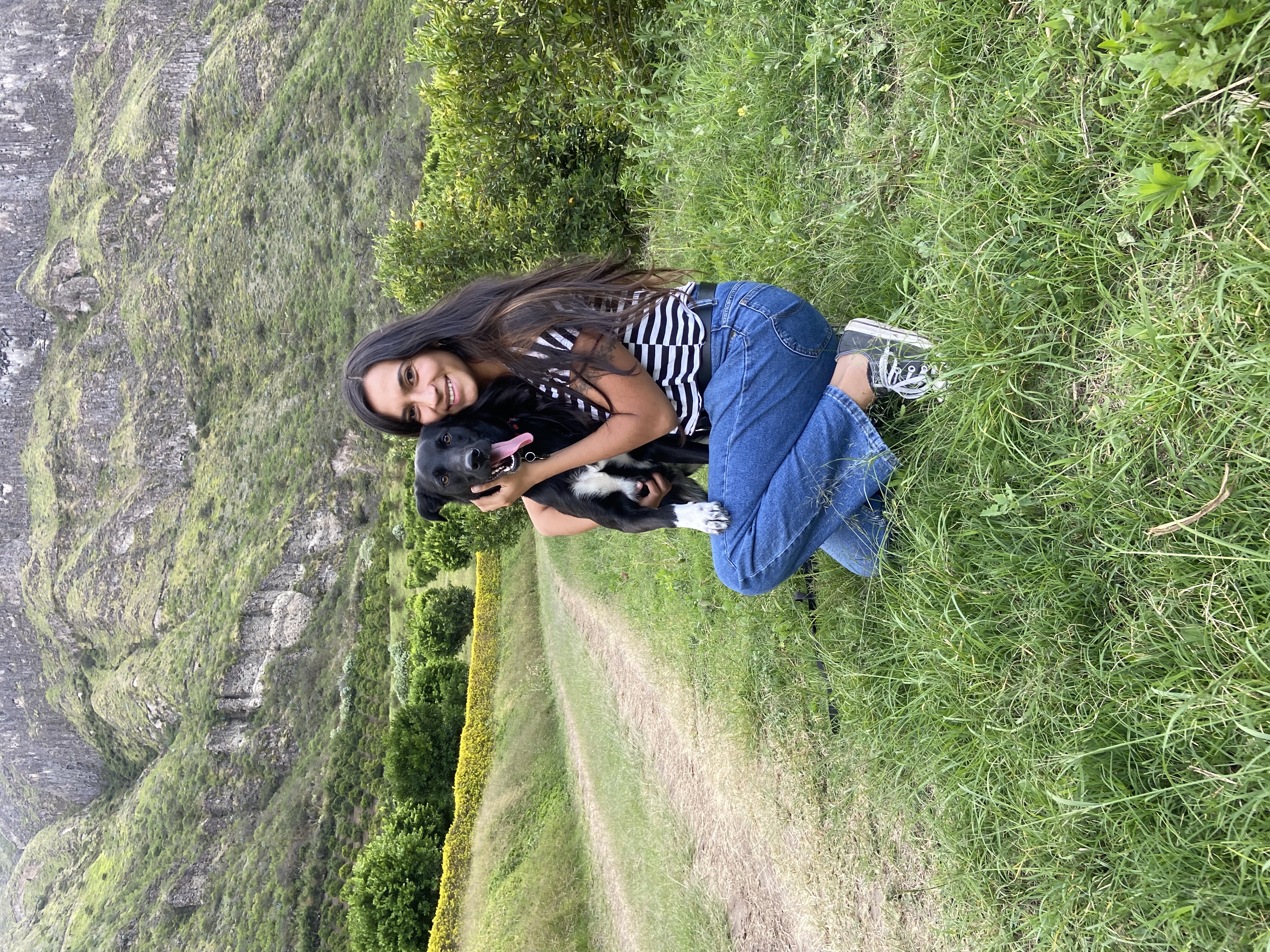 image-3