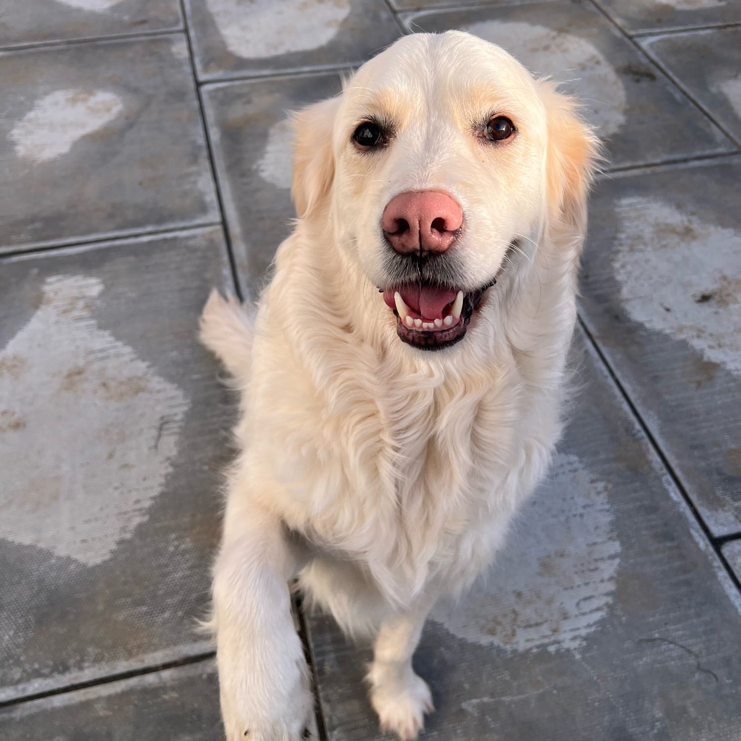 Skye