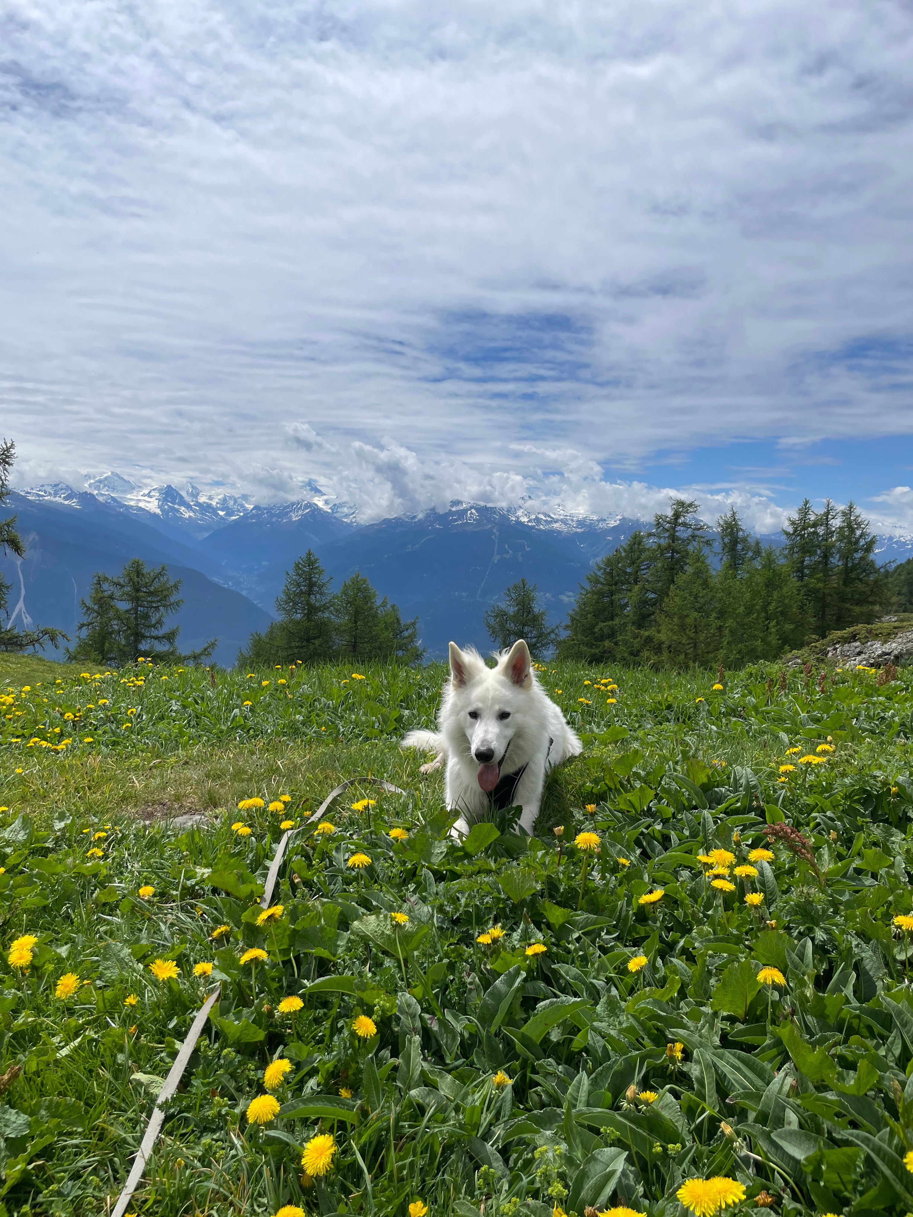 image-5