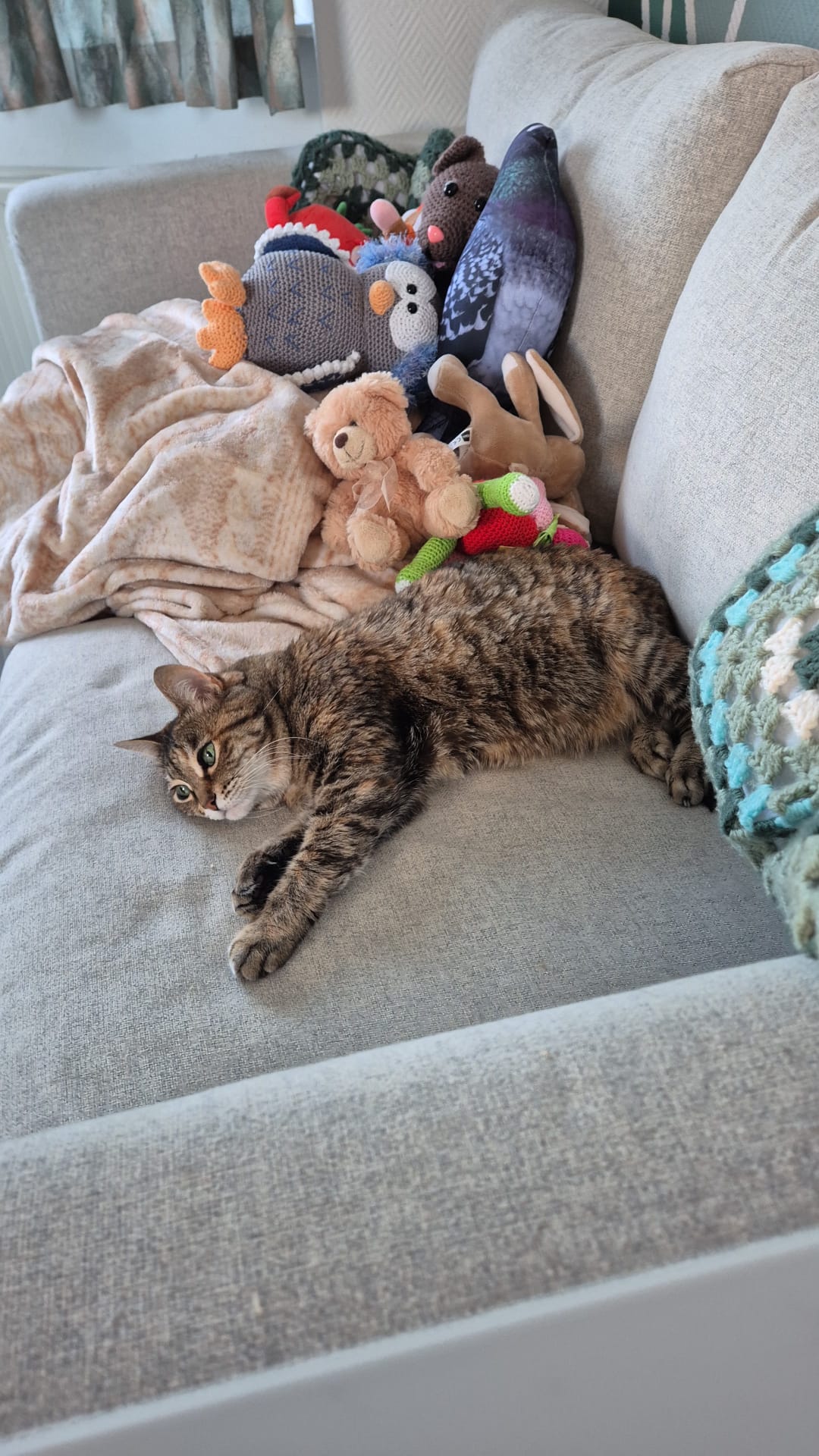 image-8