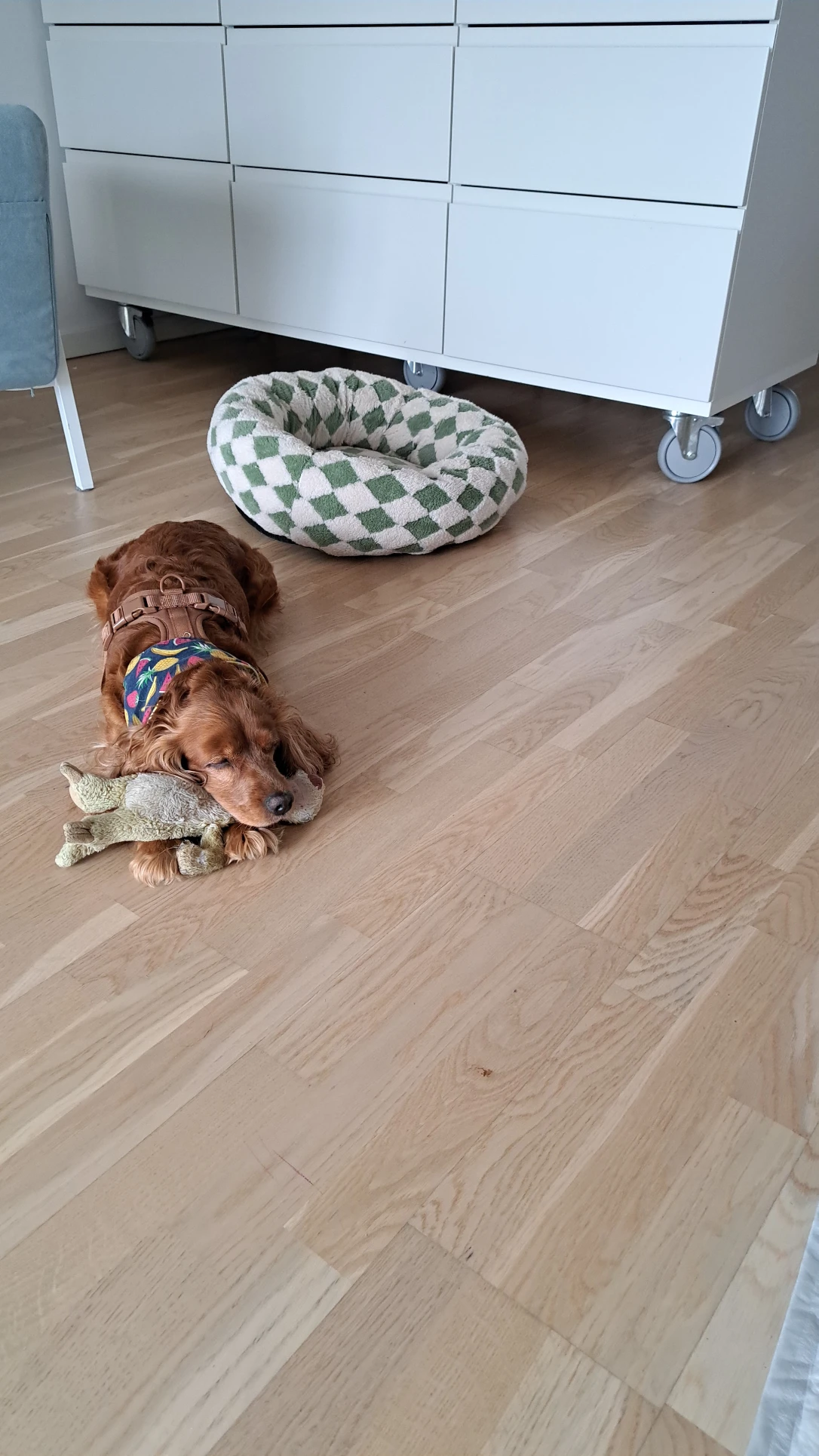 image-21