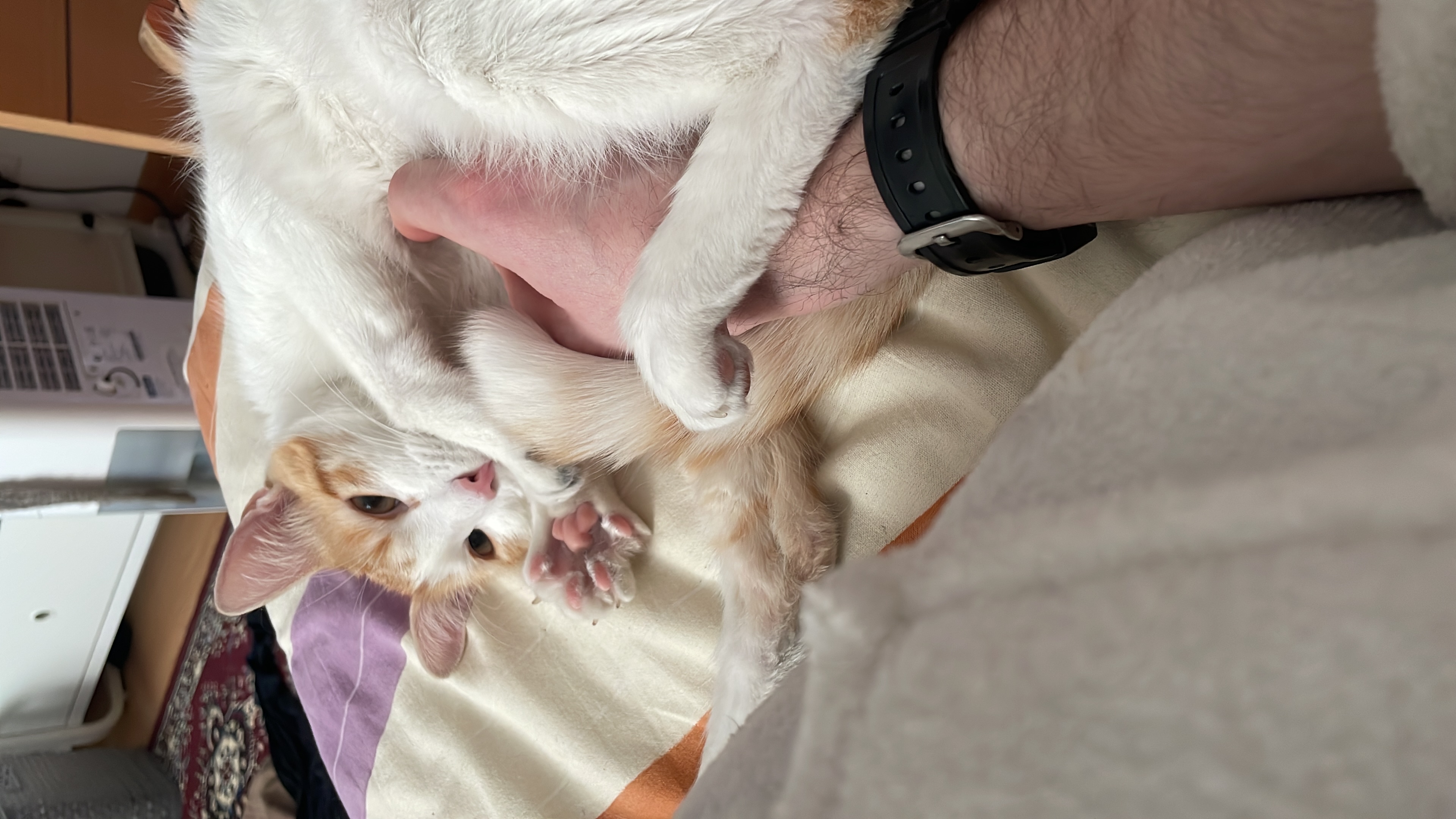 image-7