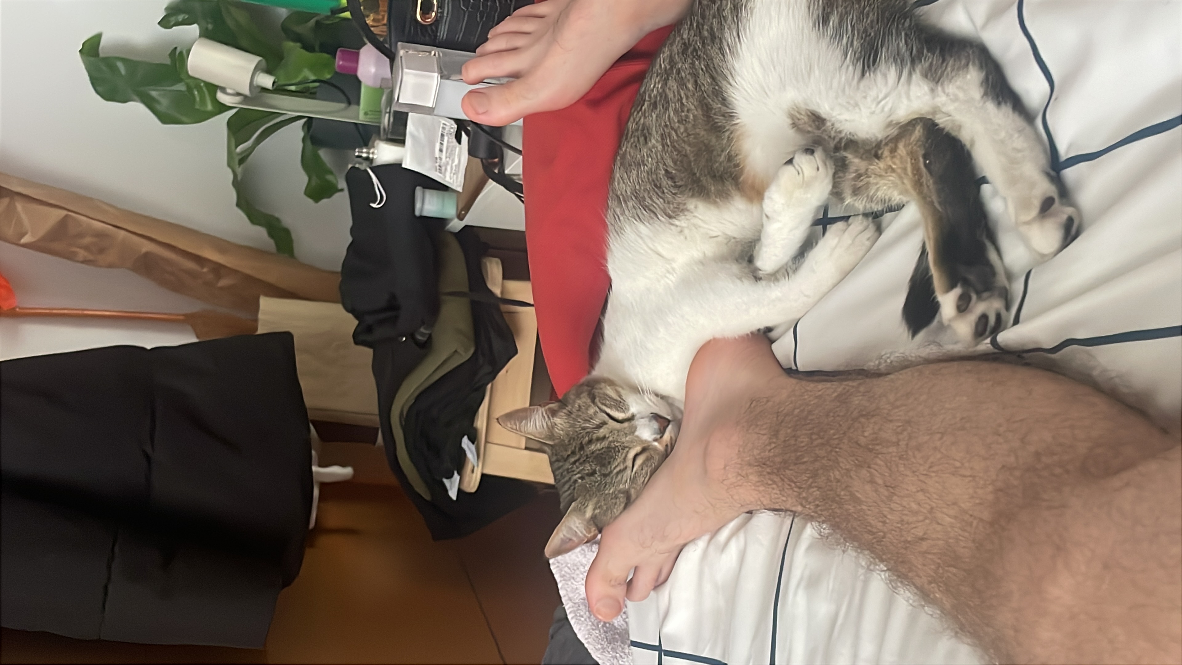 image-13