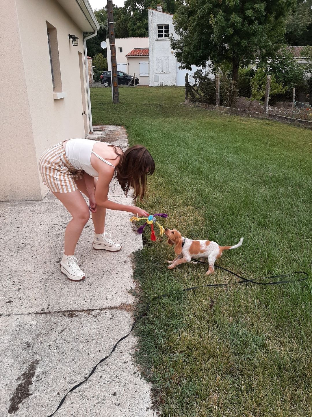 image-8