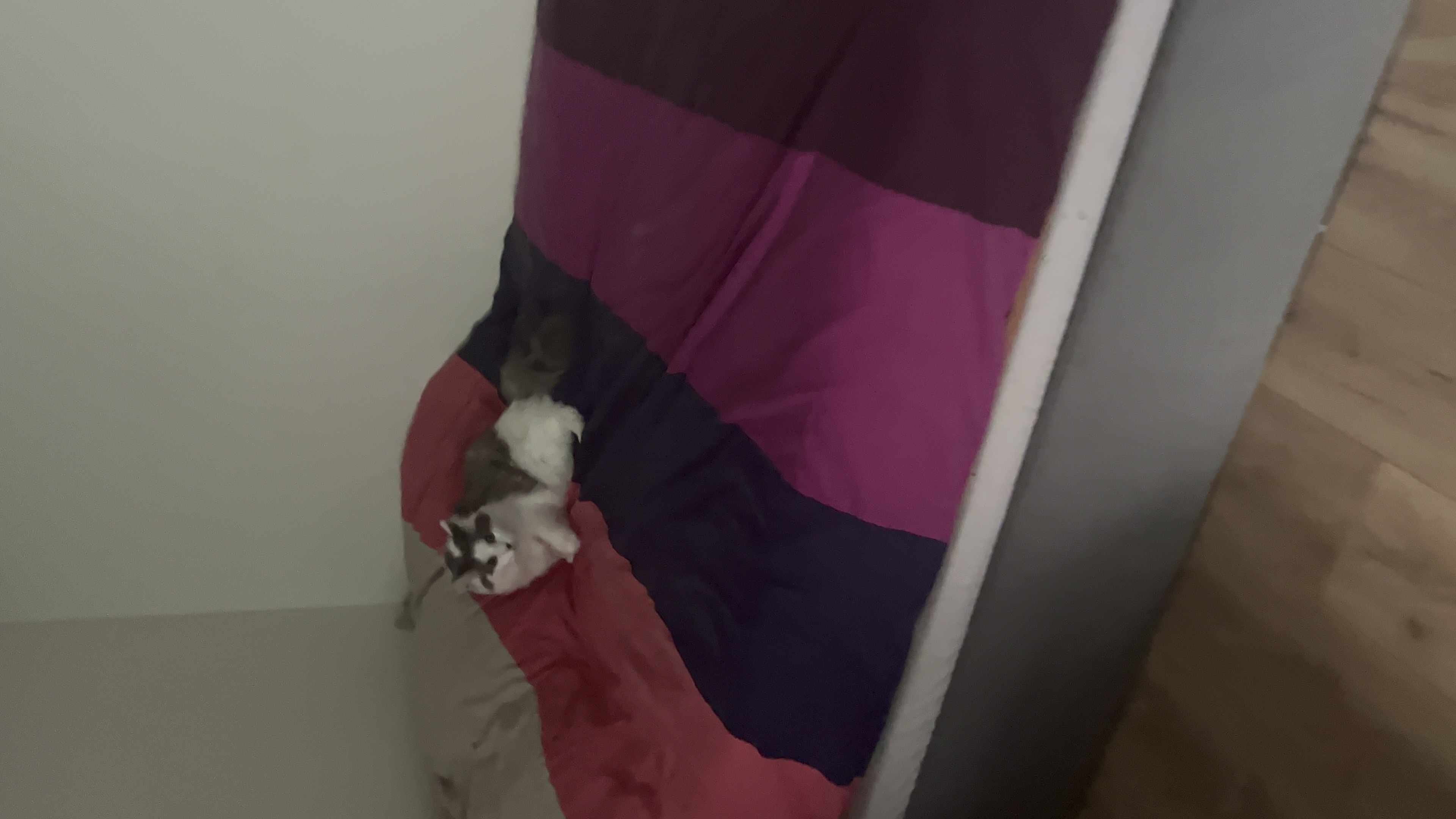 image-11