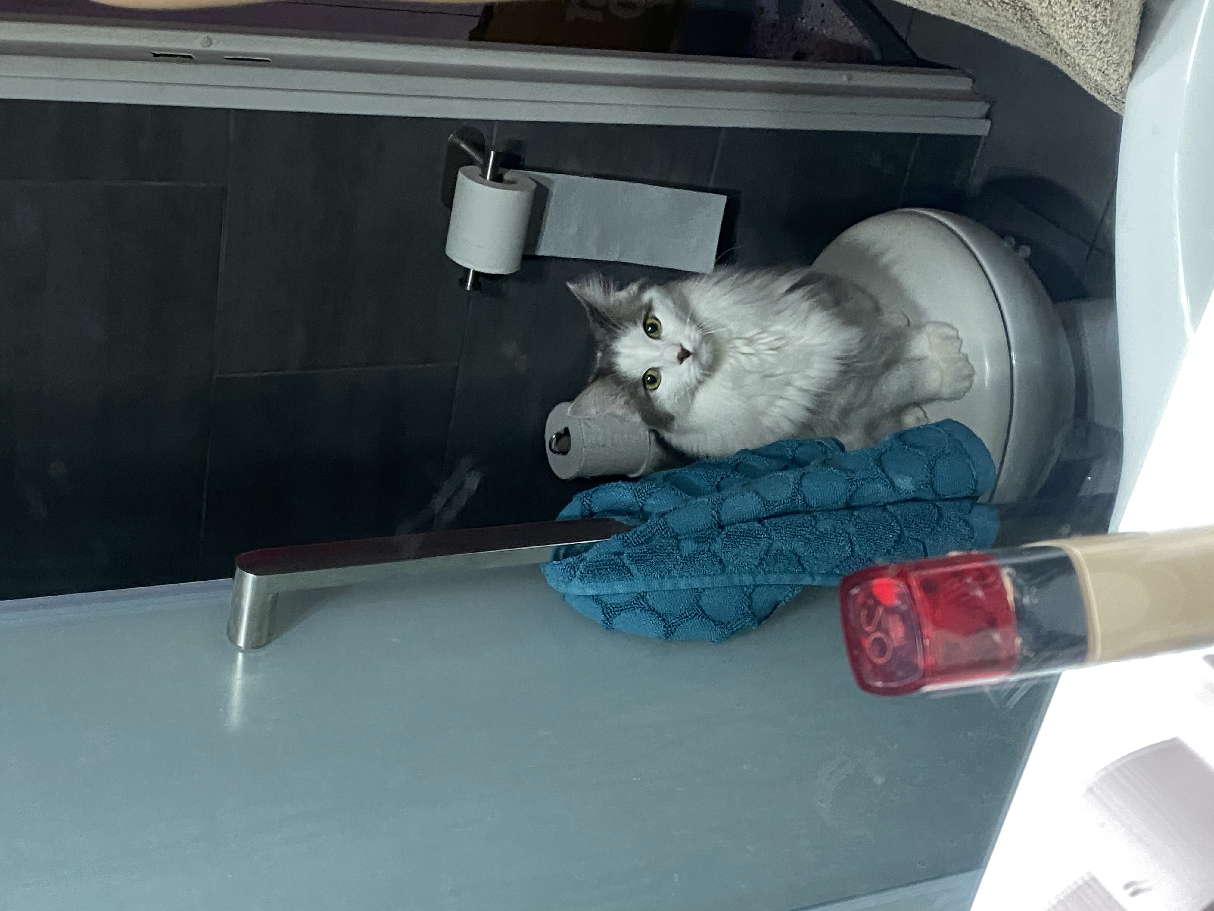 image-13