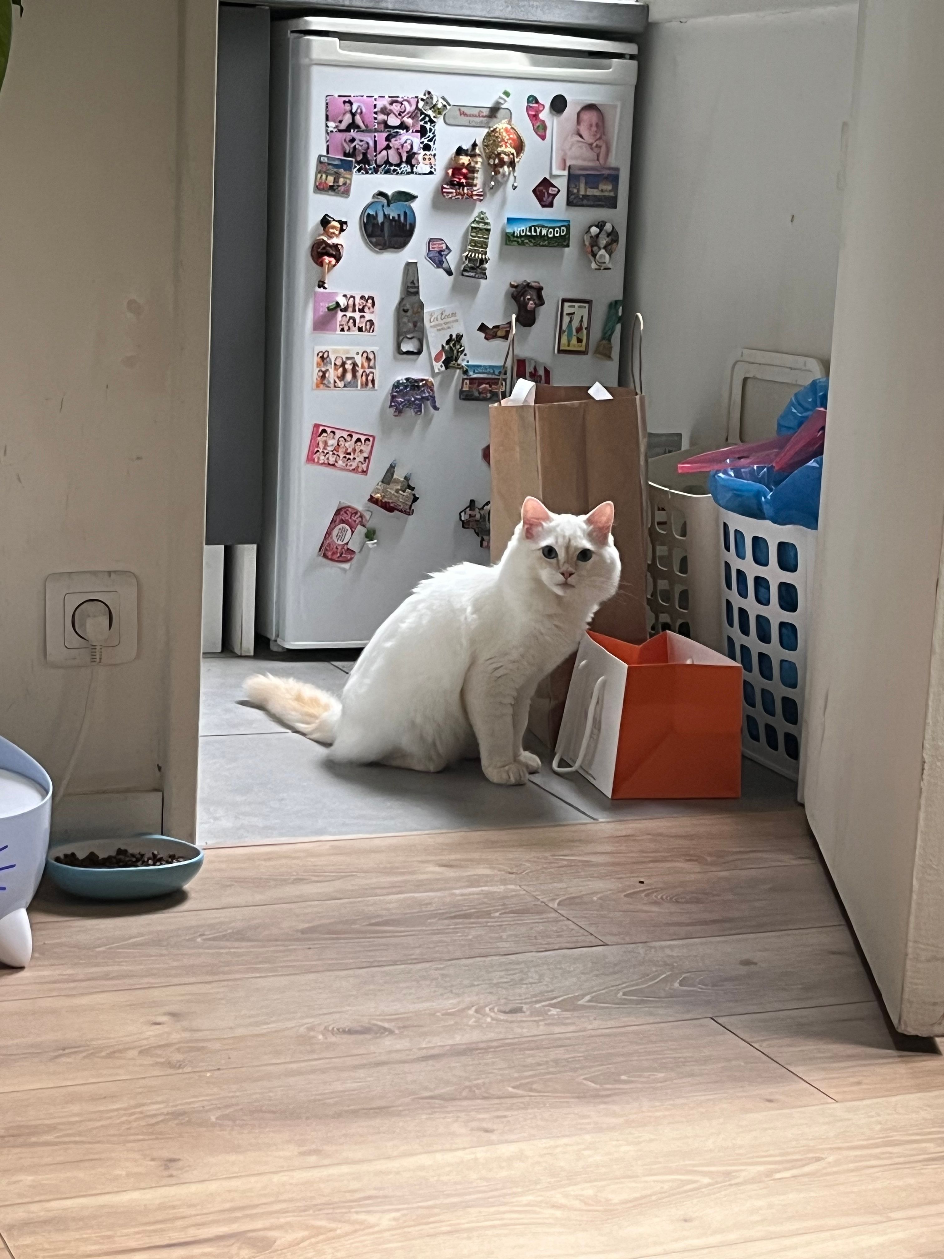 image-10