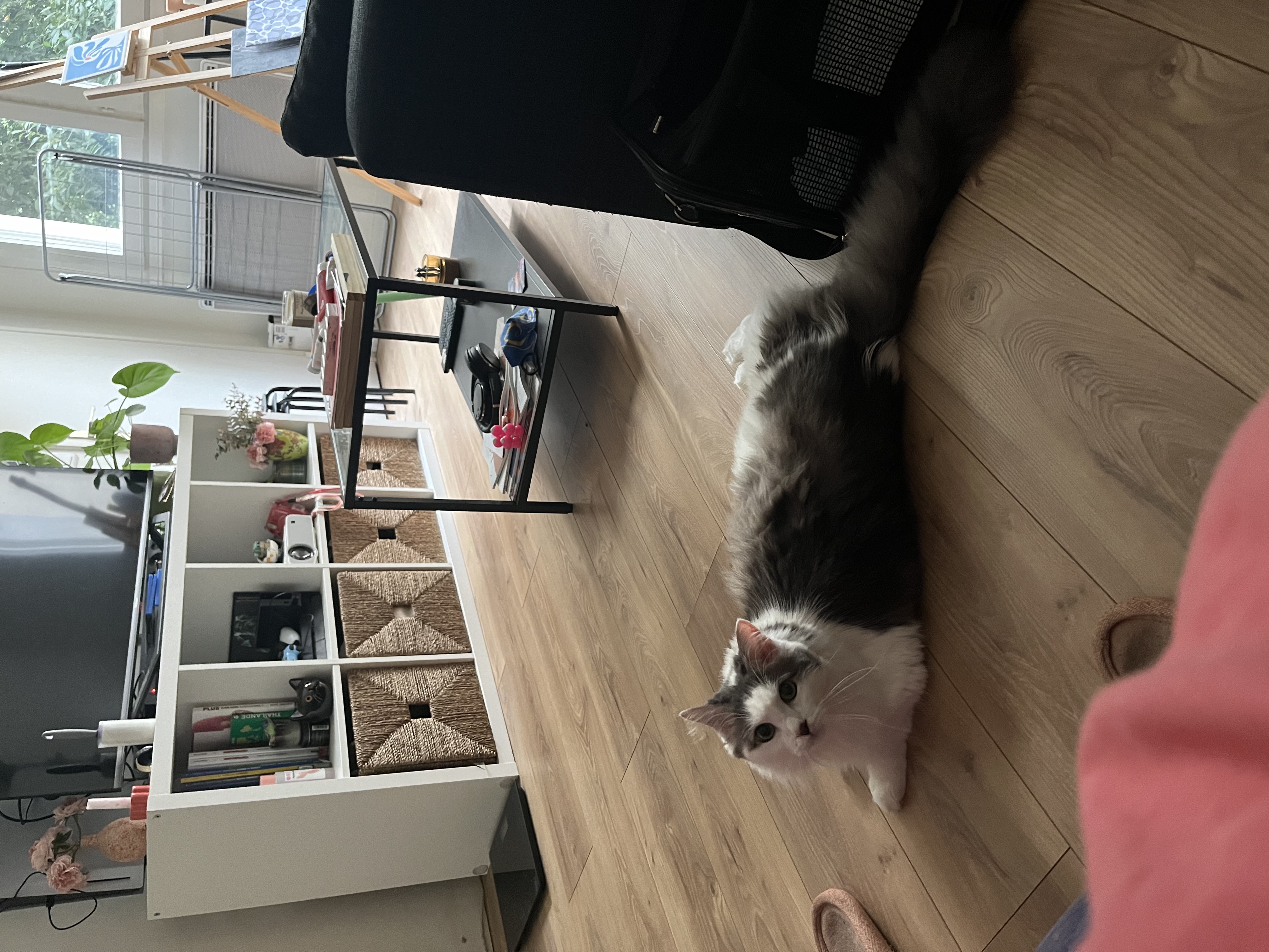 image-9