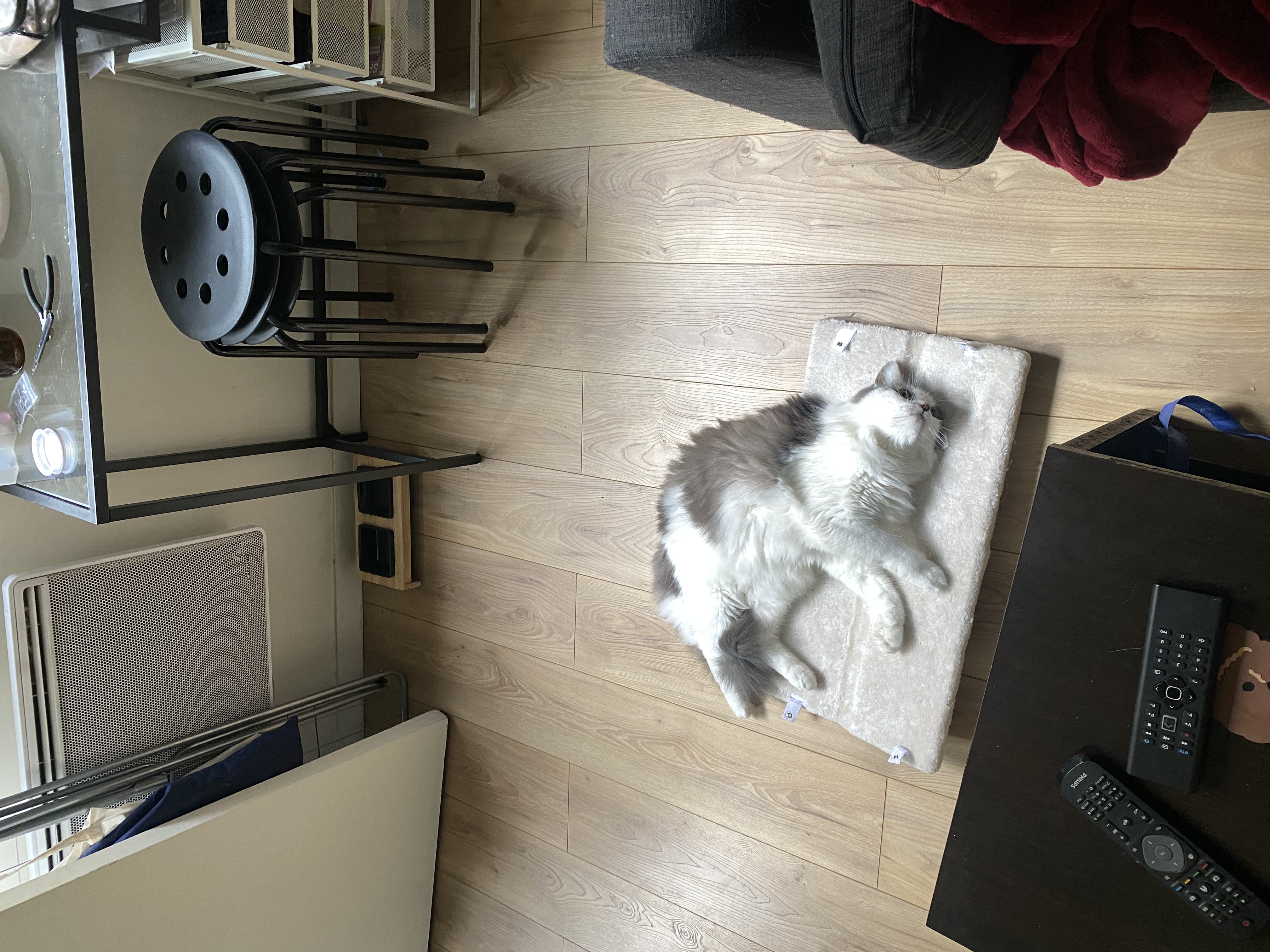 image-12