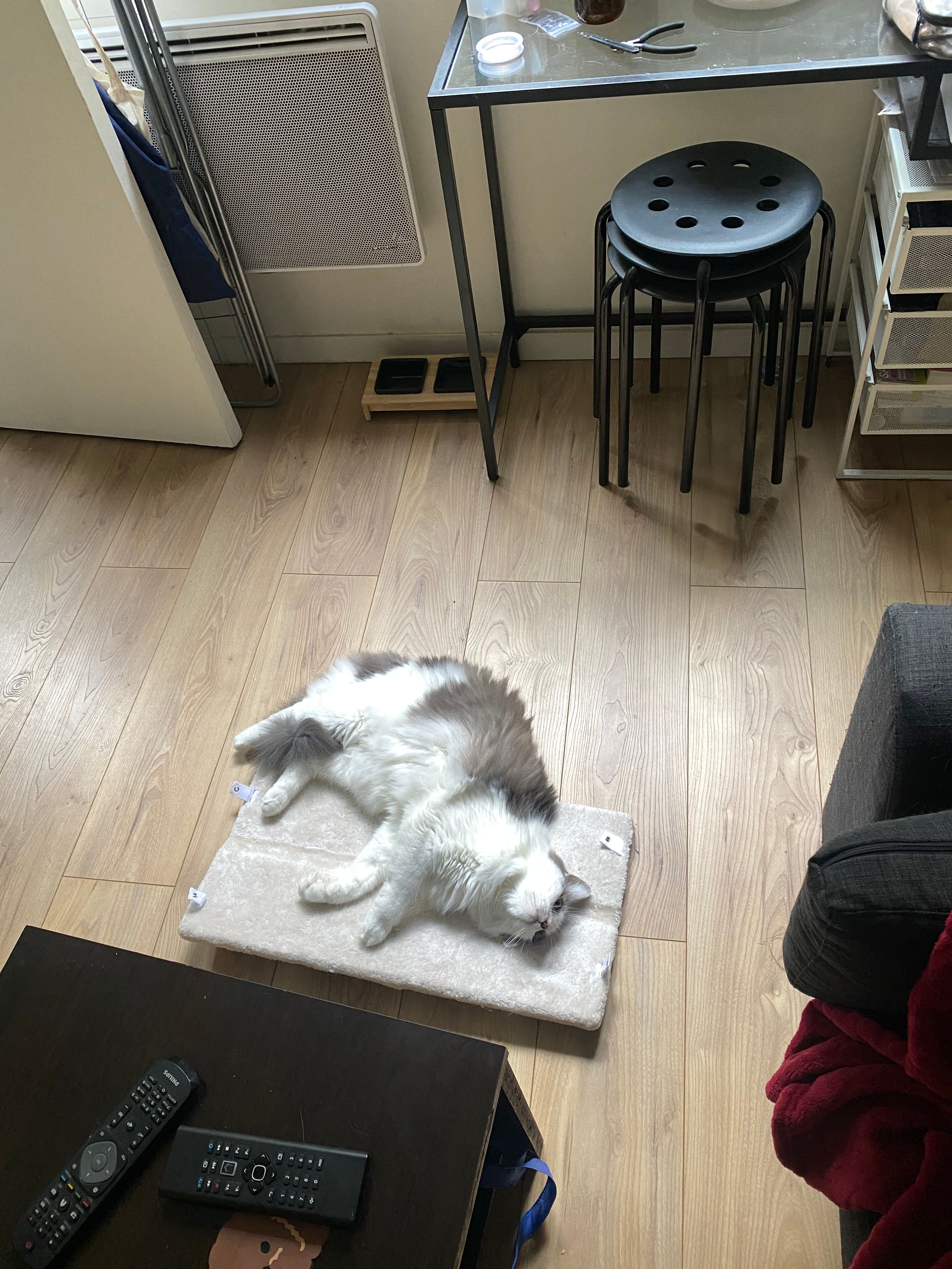 image-12