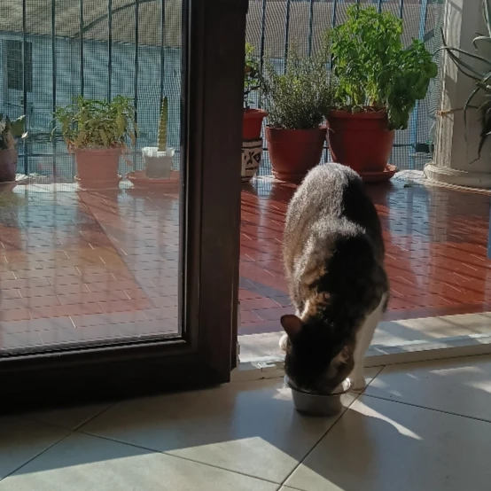 image-4