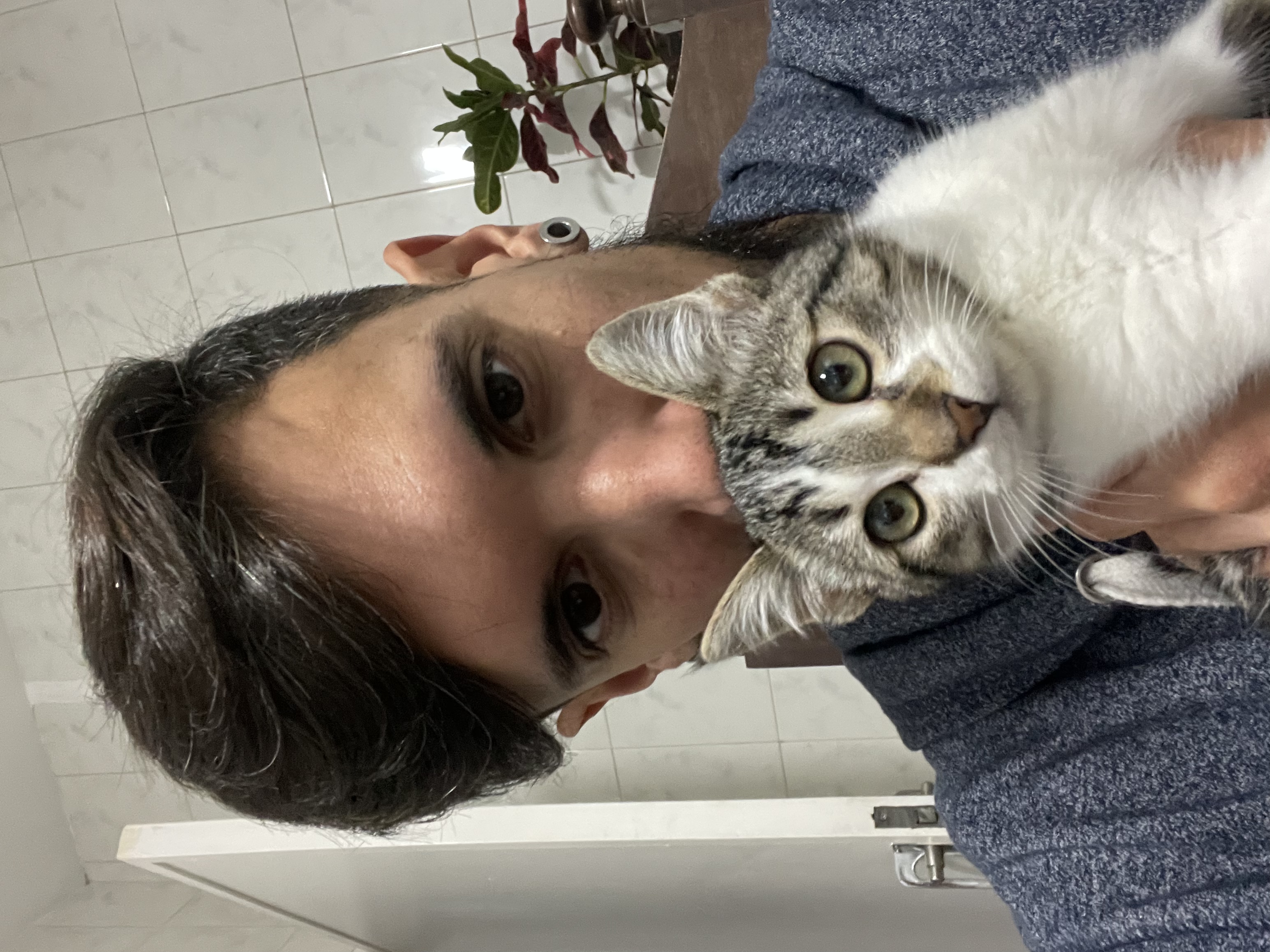 image-6
