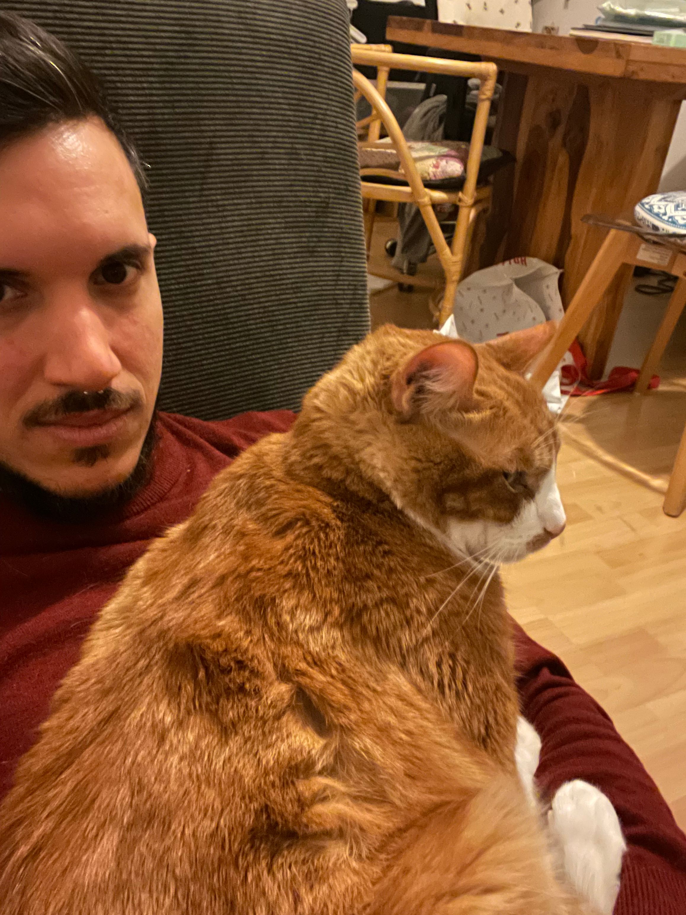 image-25