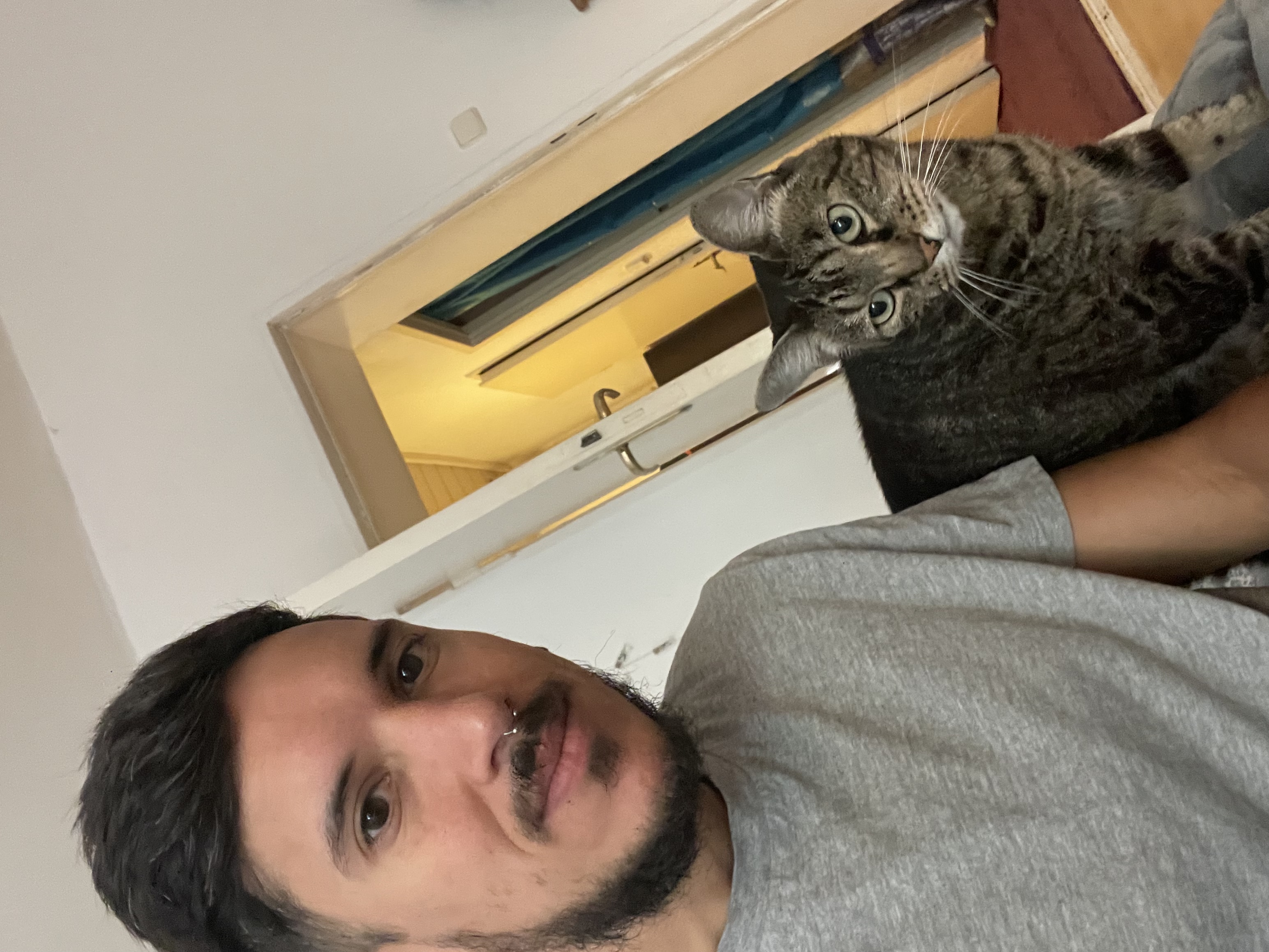 image-12