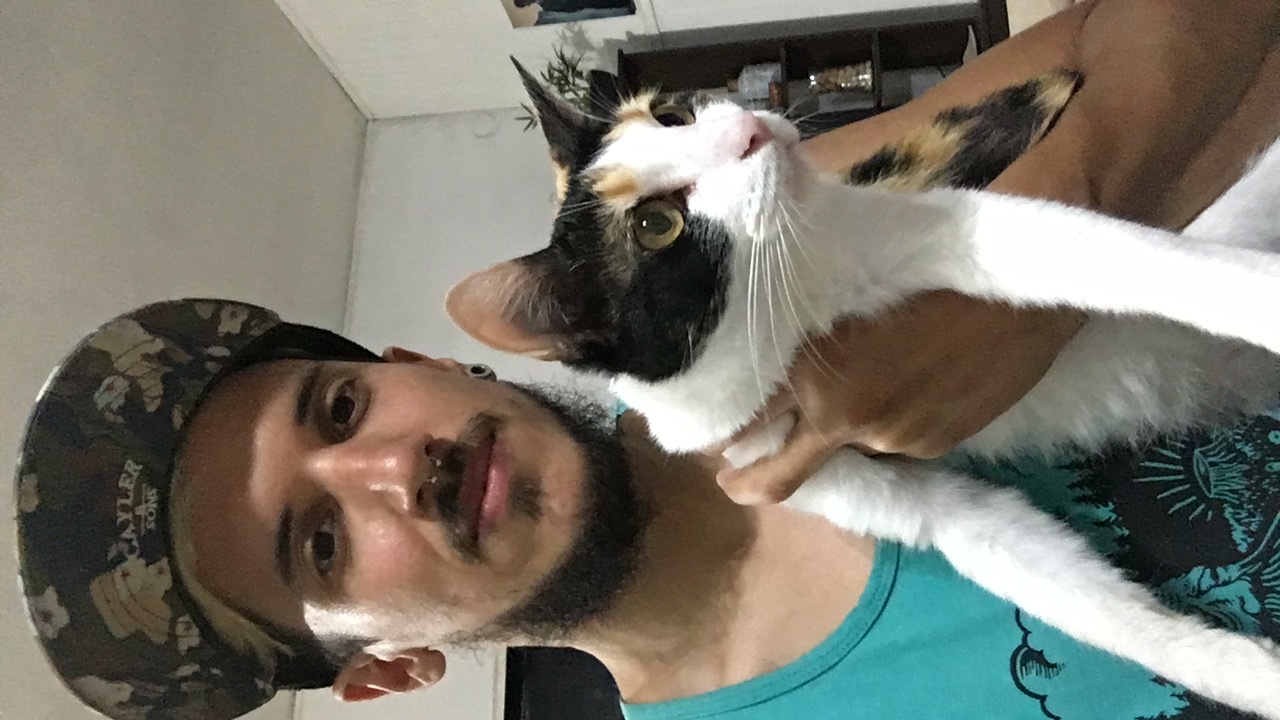 image-11