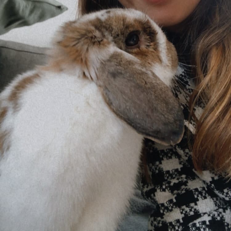 Kallotta