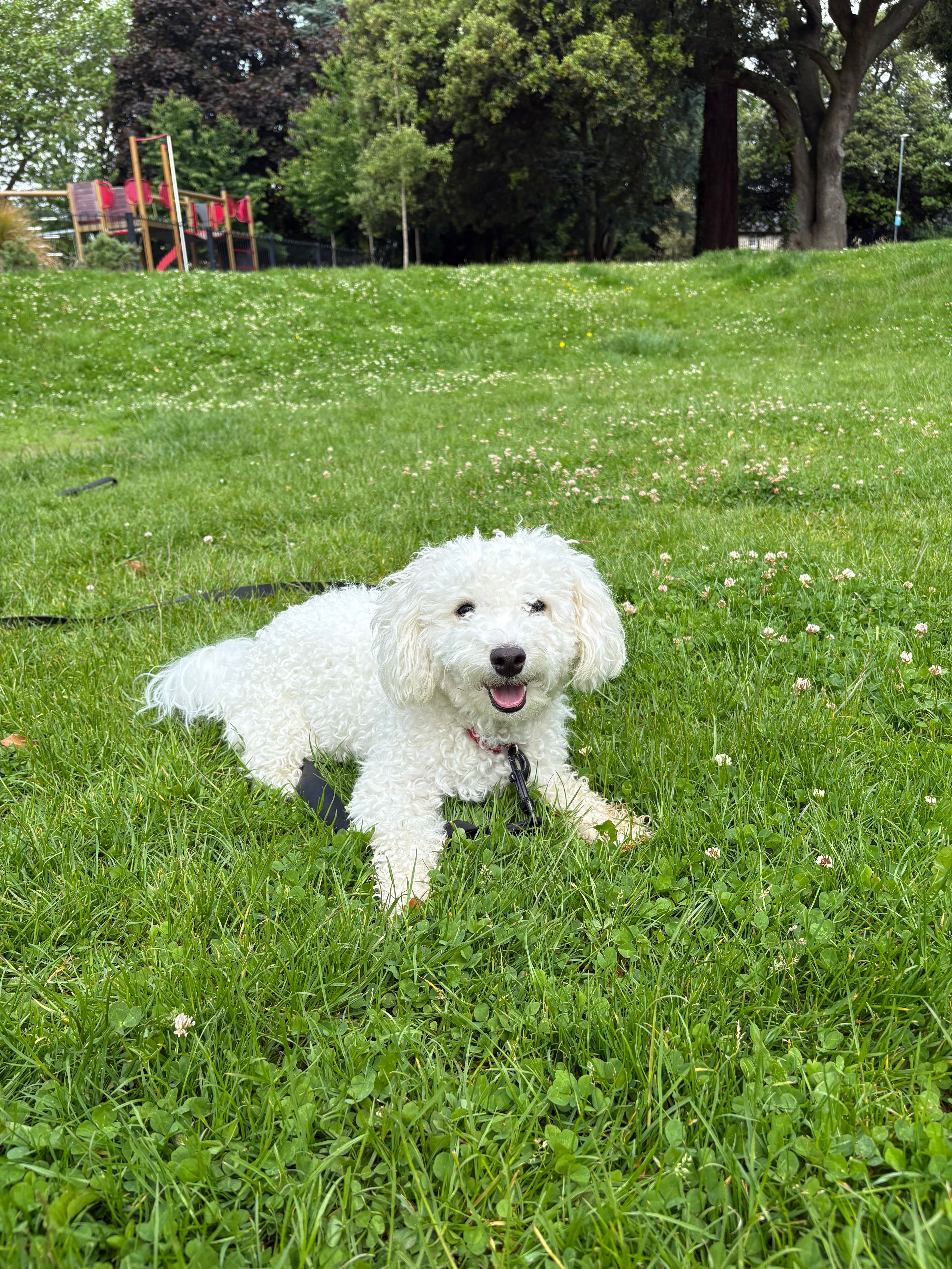 image-18