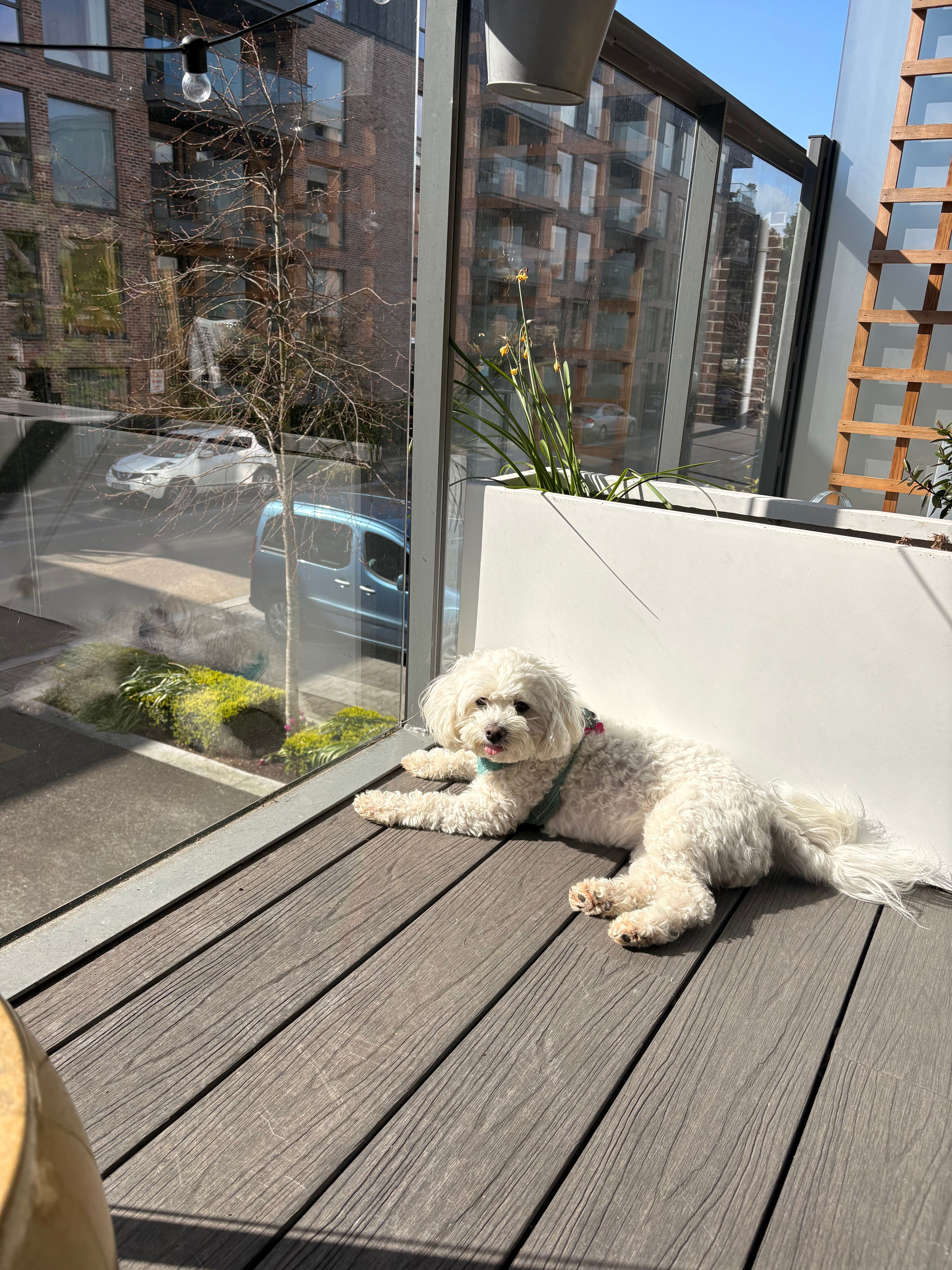 image-11