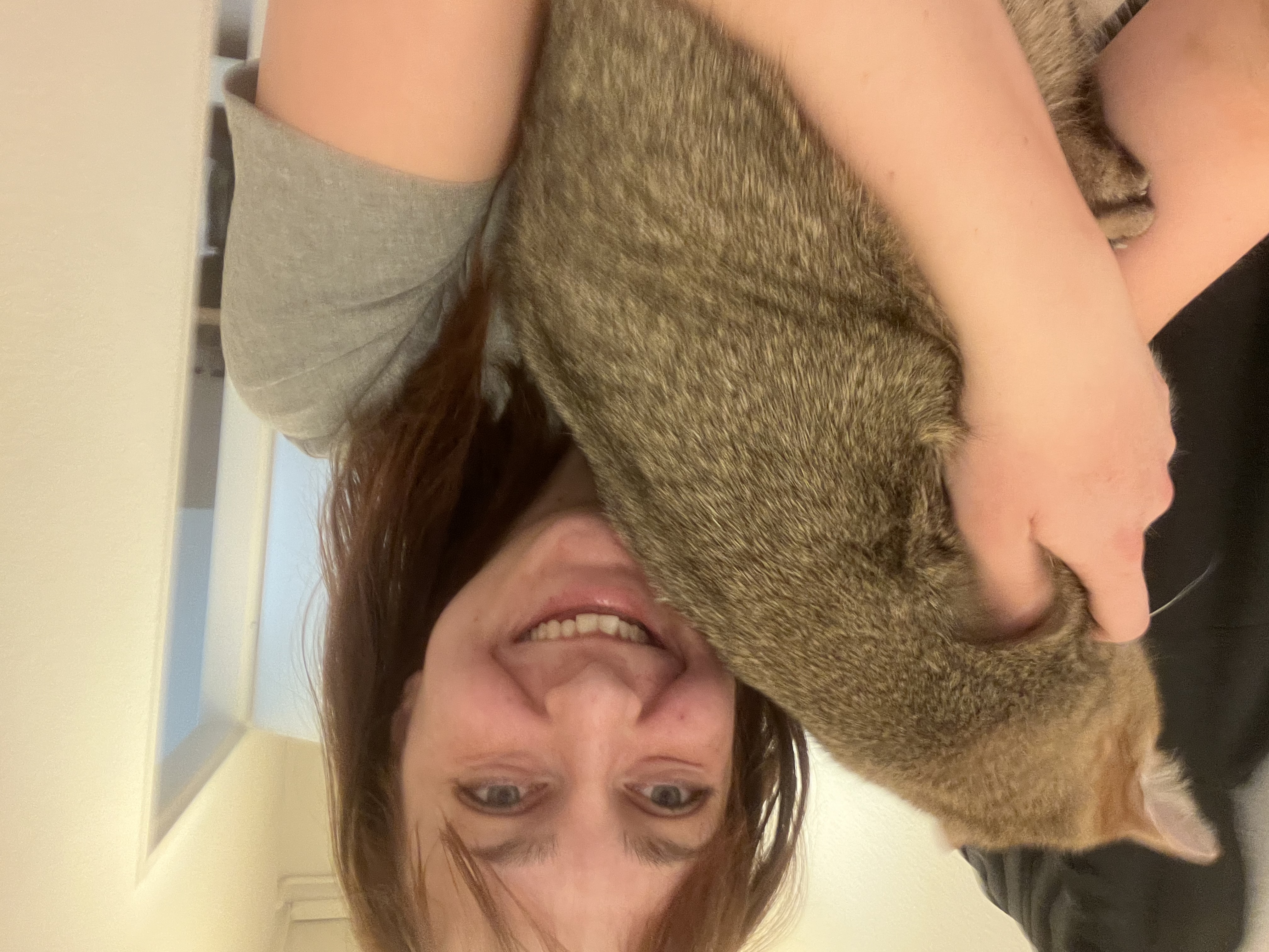 image-14