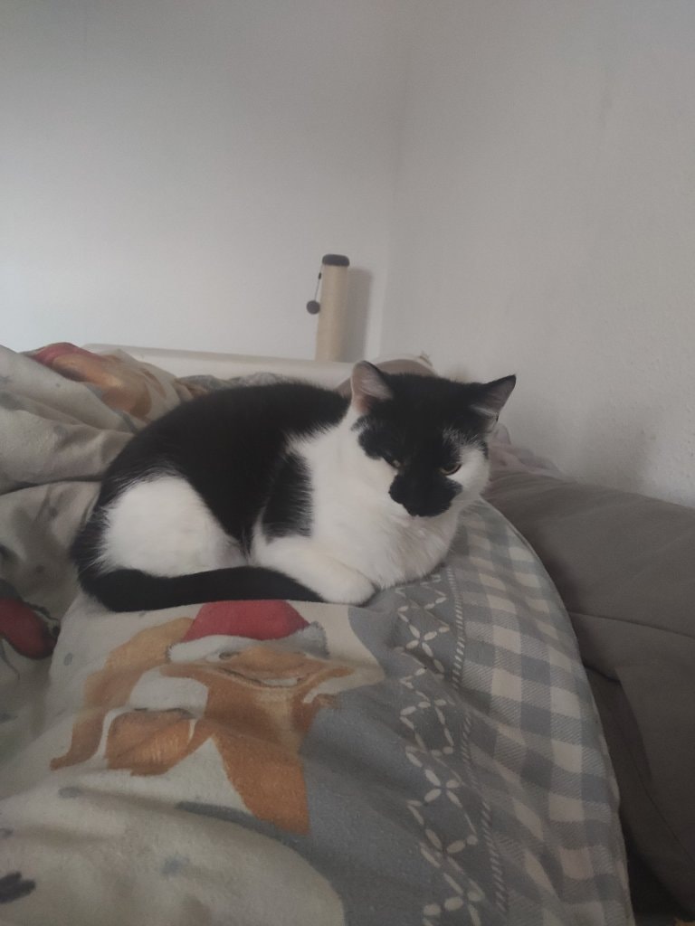image-6