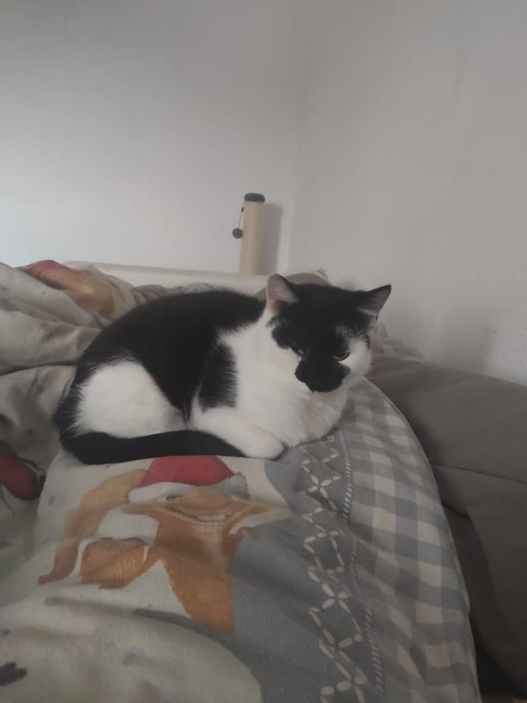 image-6