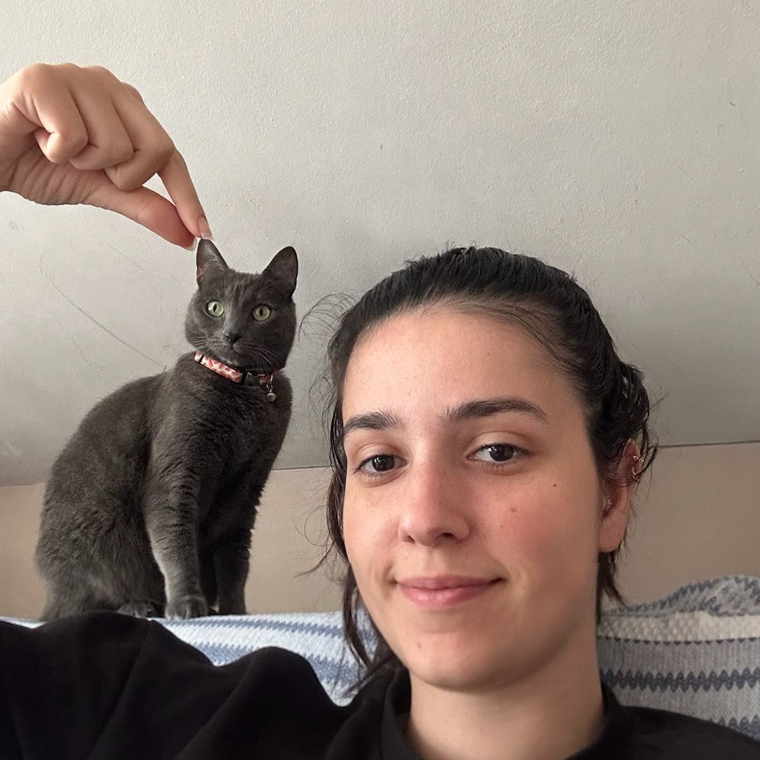 Duygu