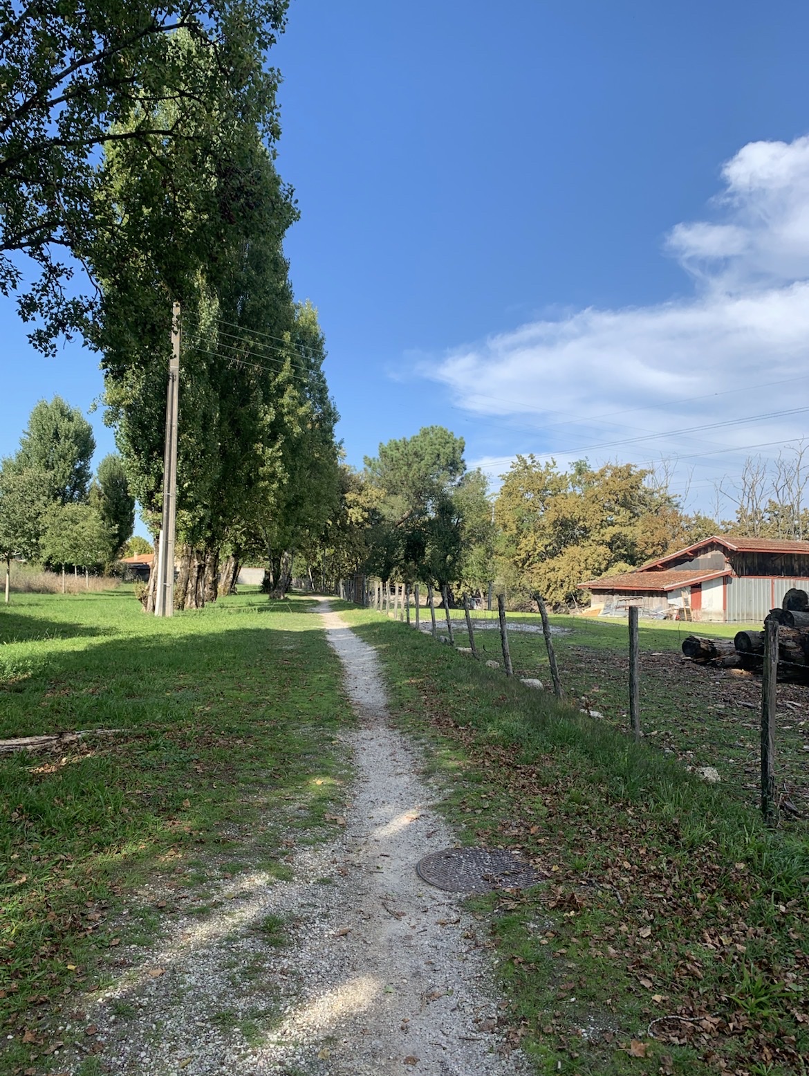image-19