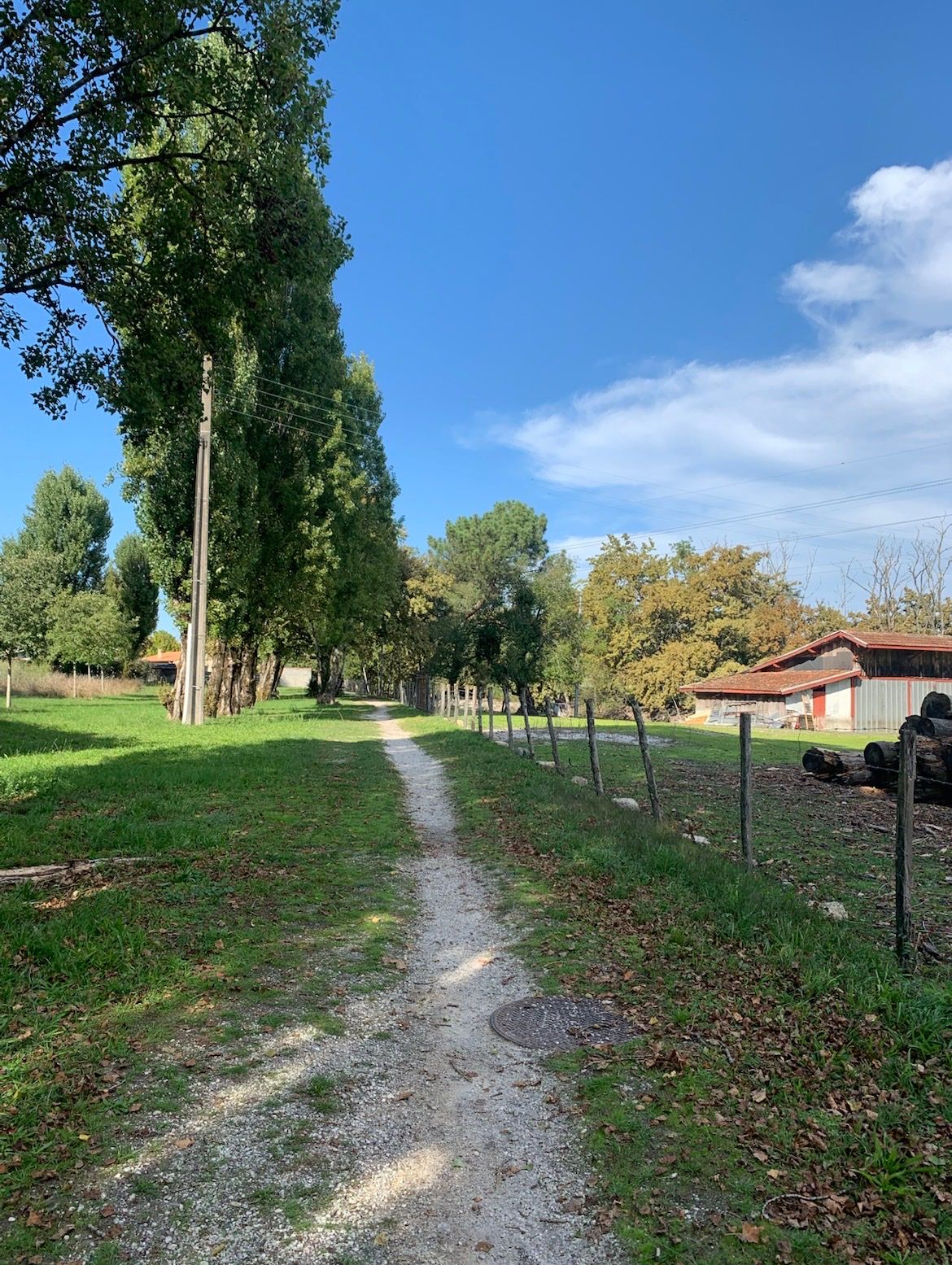 image-19