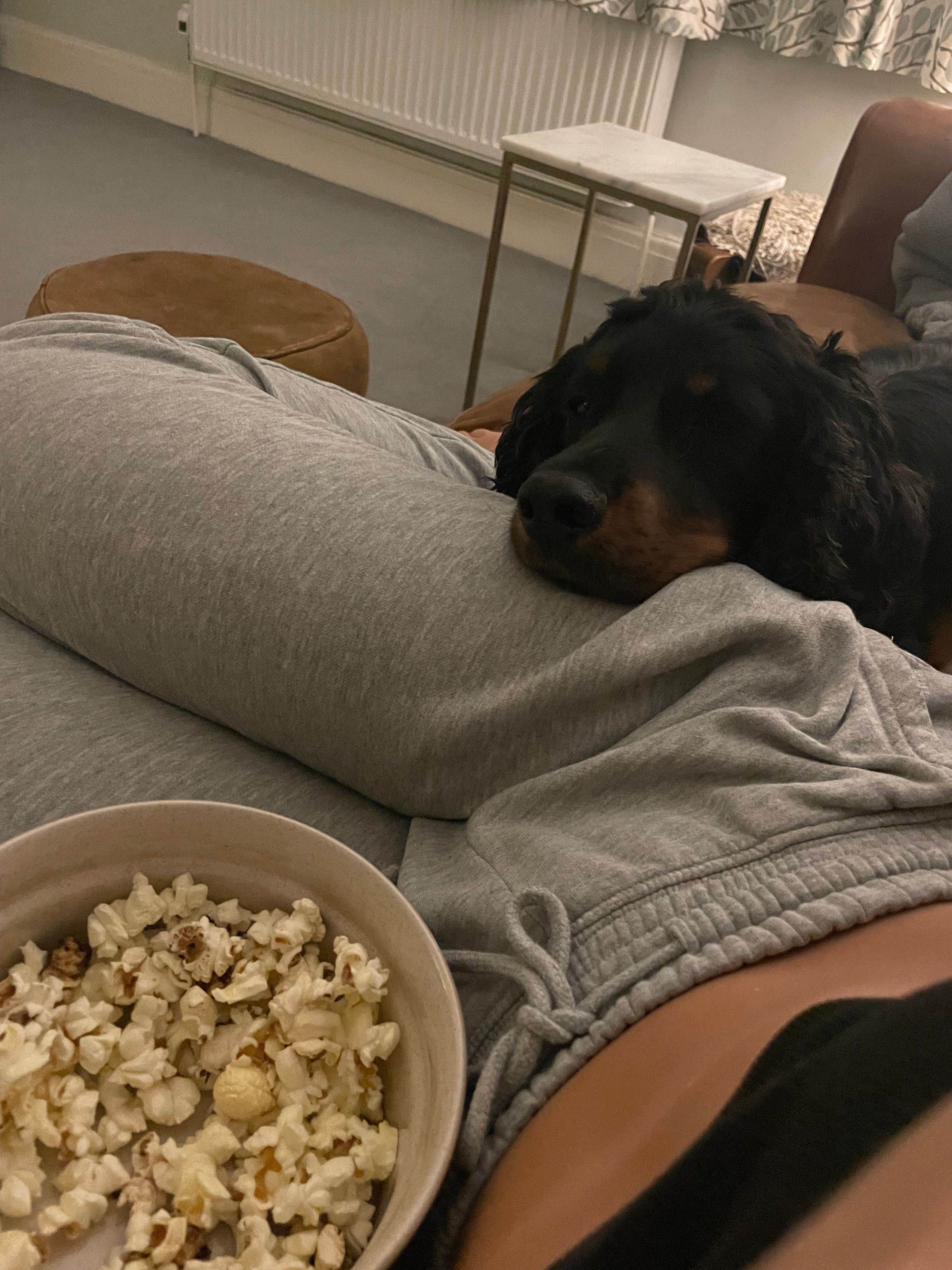 image-9