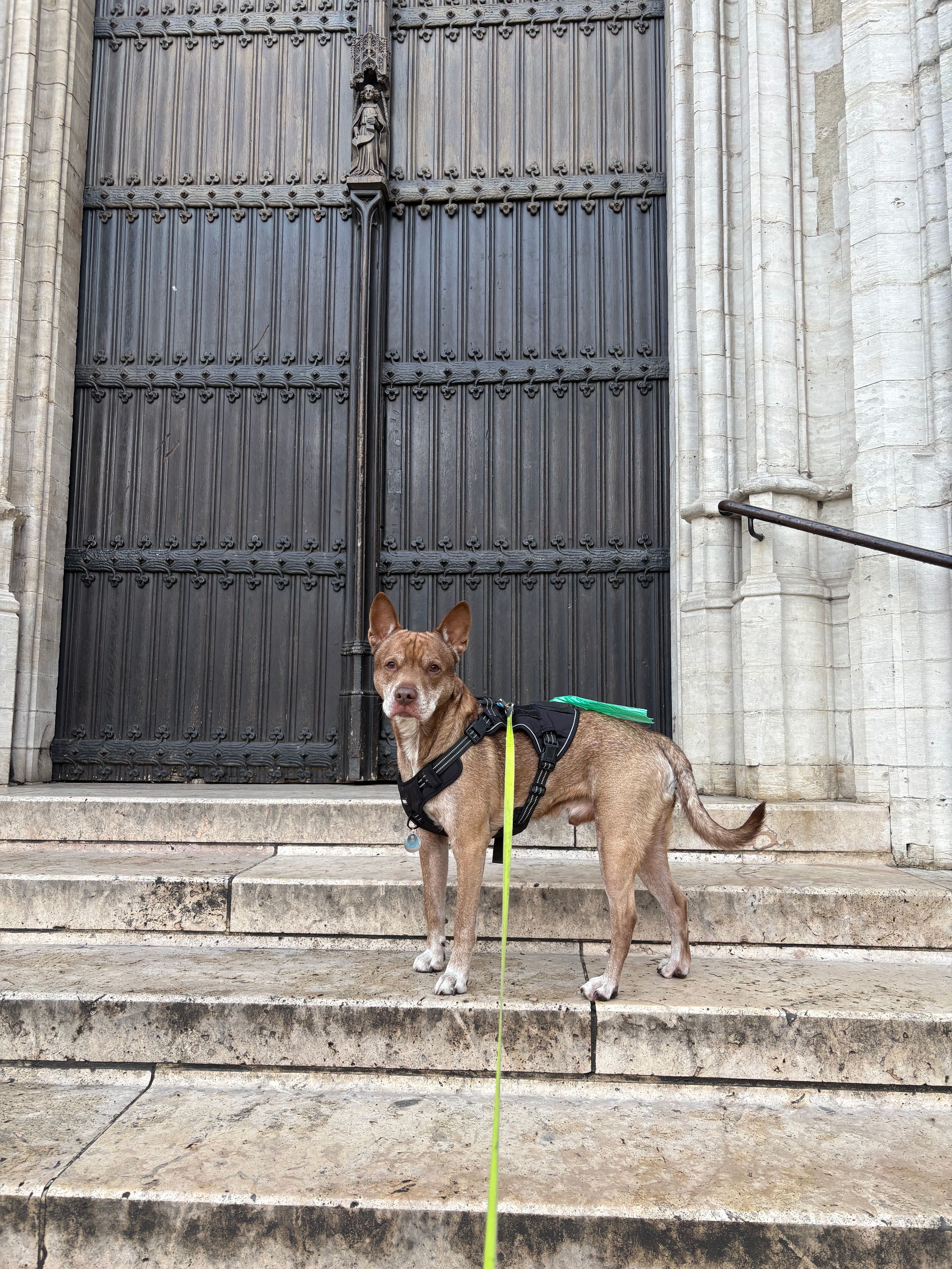 image-10