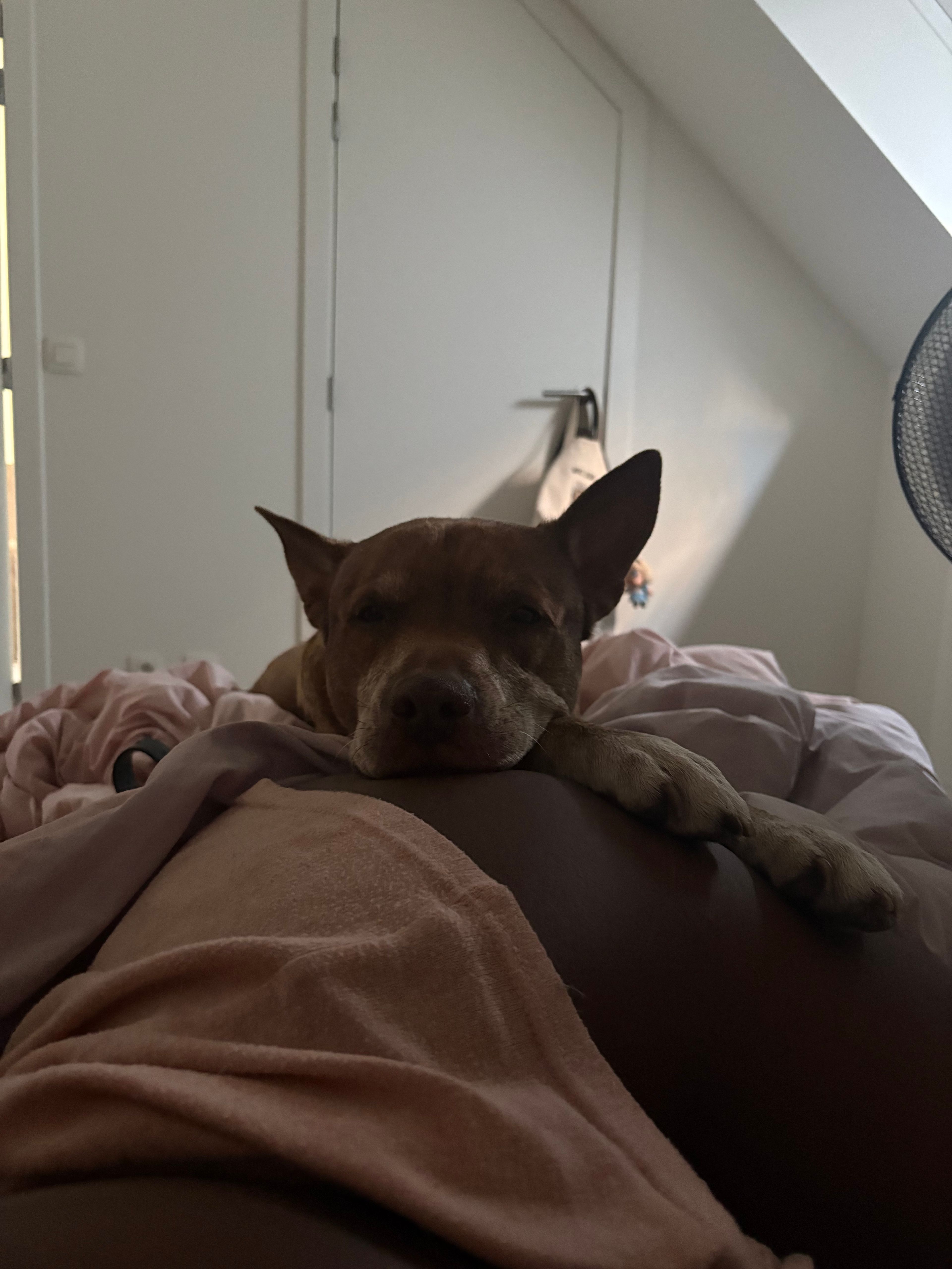 image-9