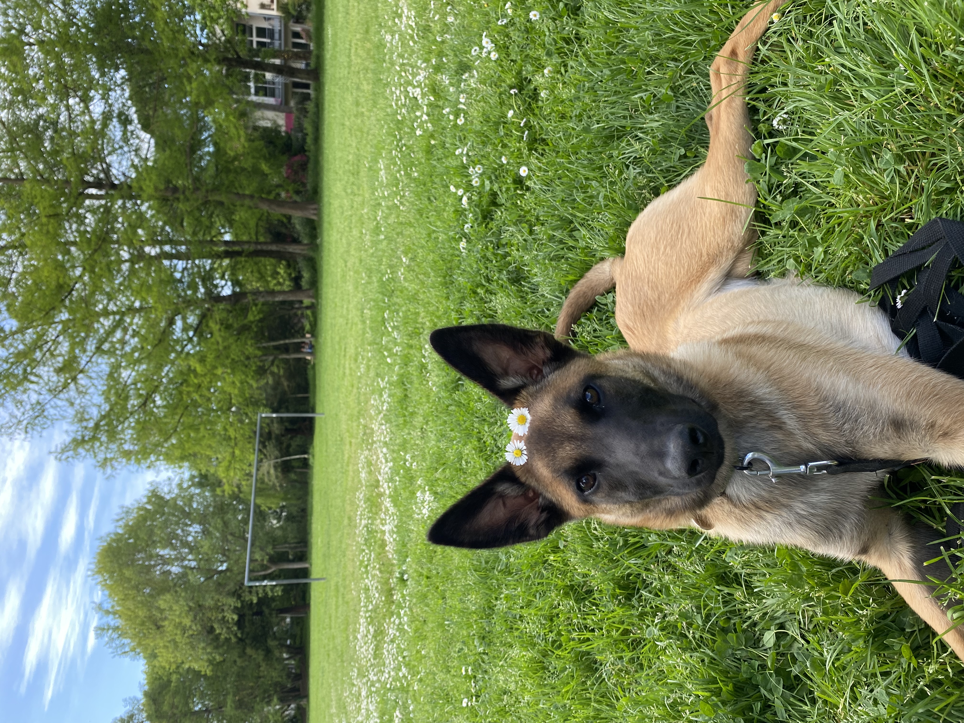 image-7