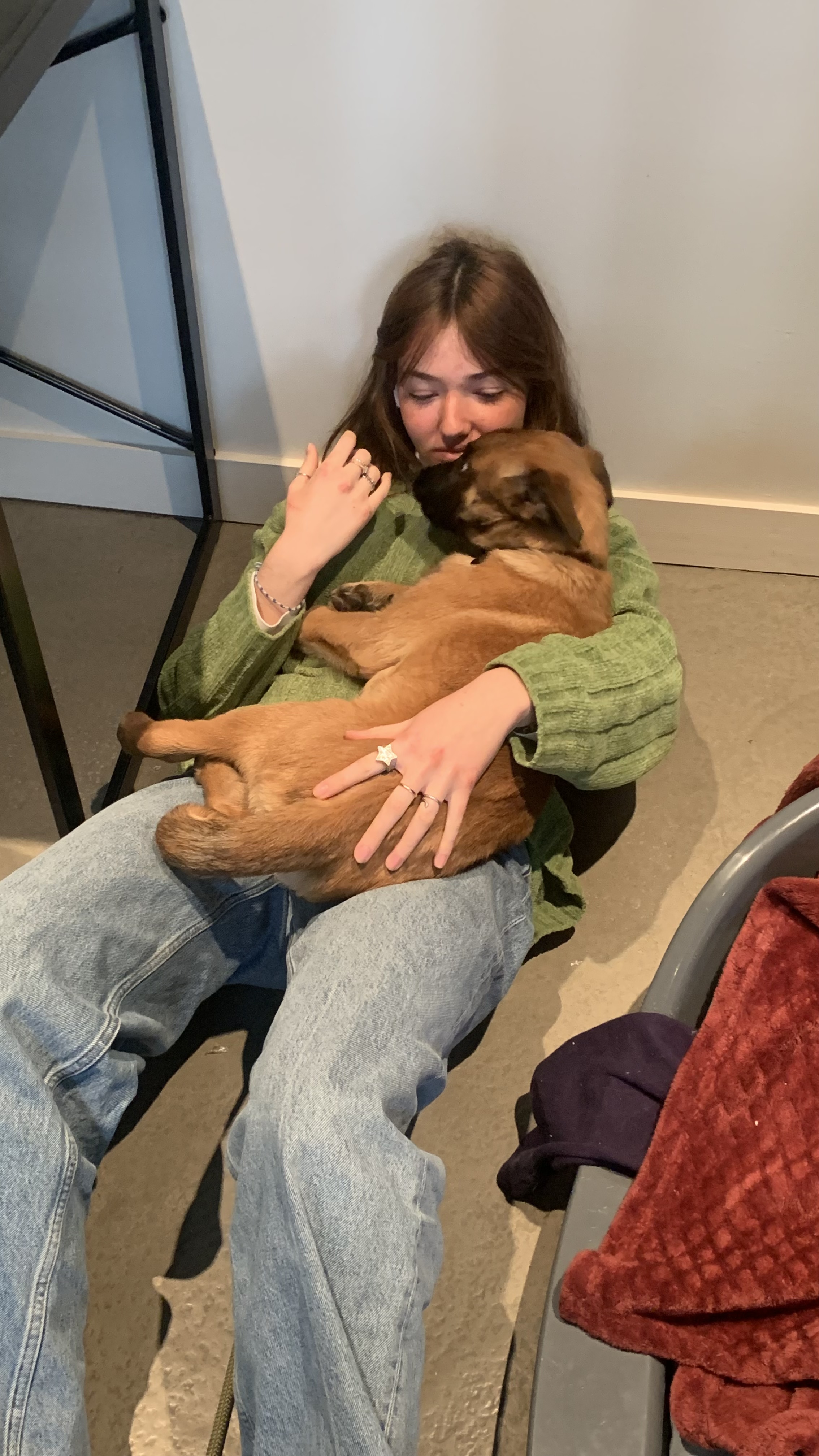 image-6