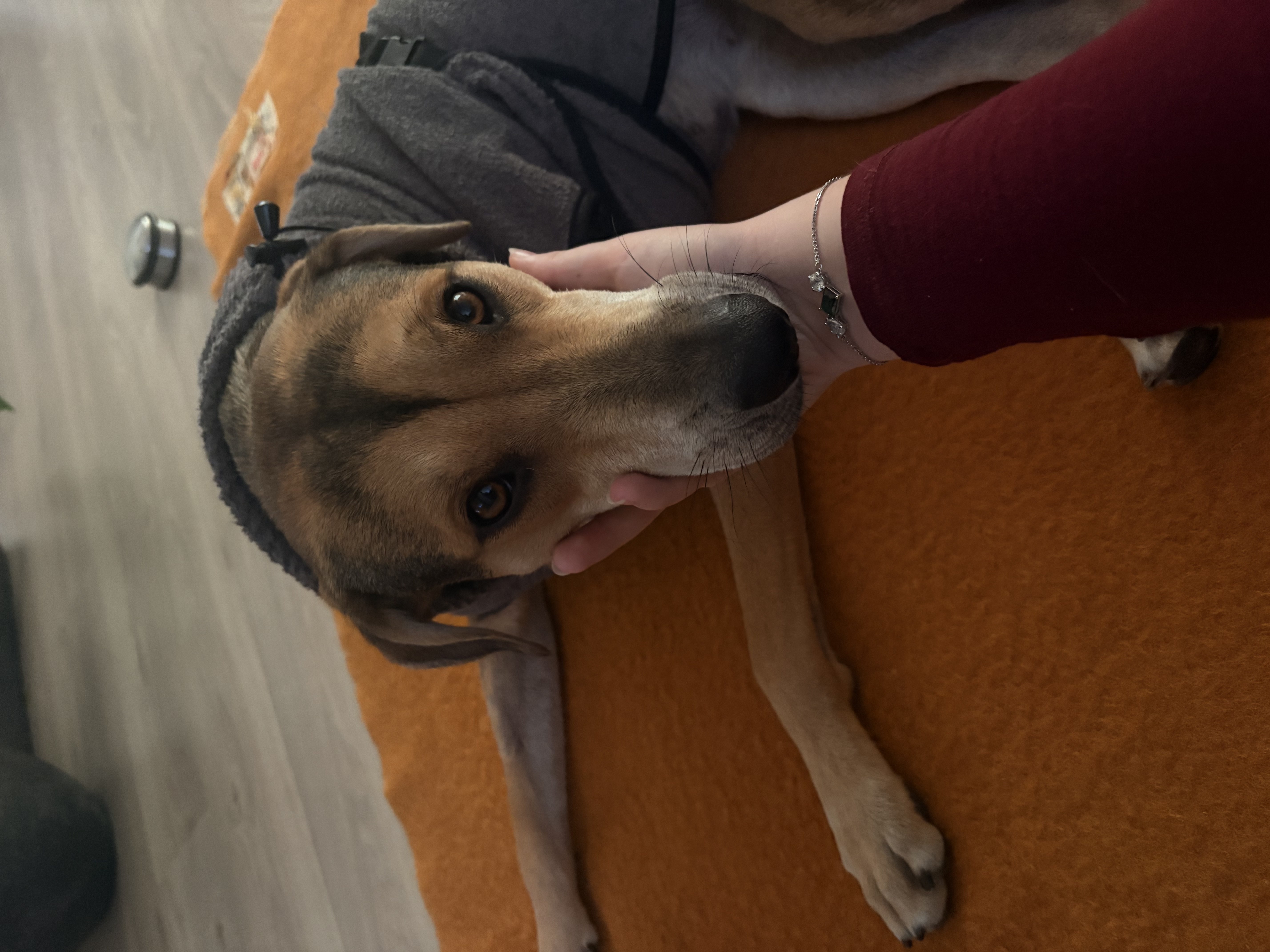image-9