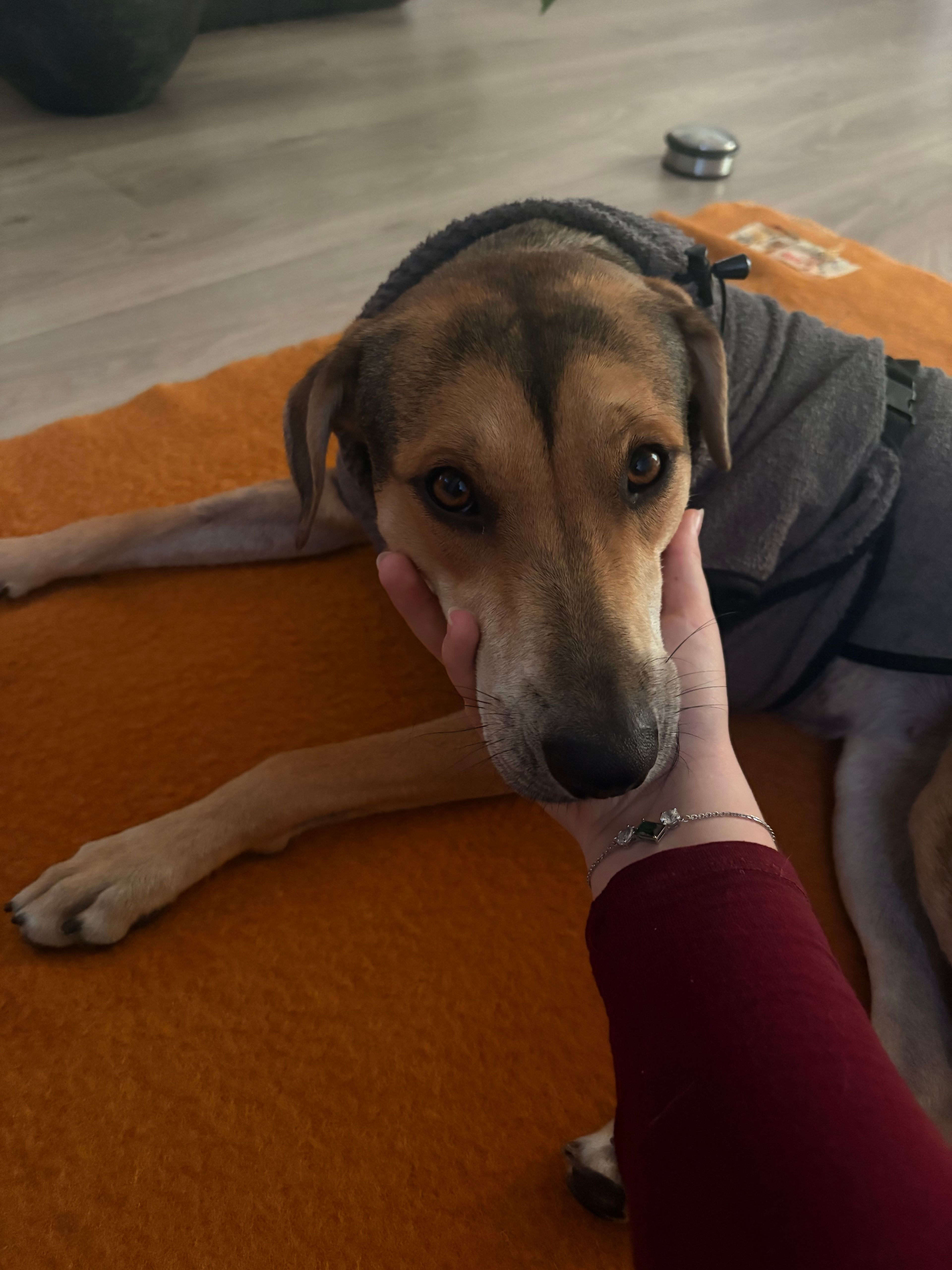 image-9