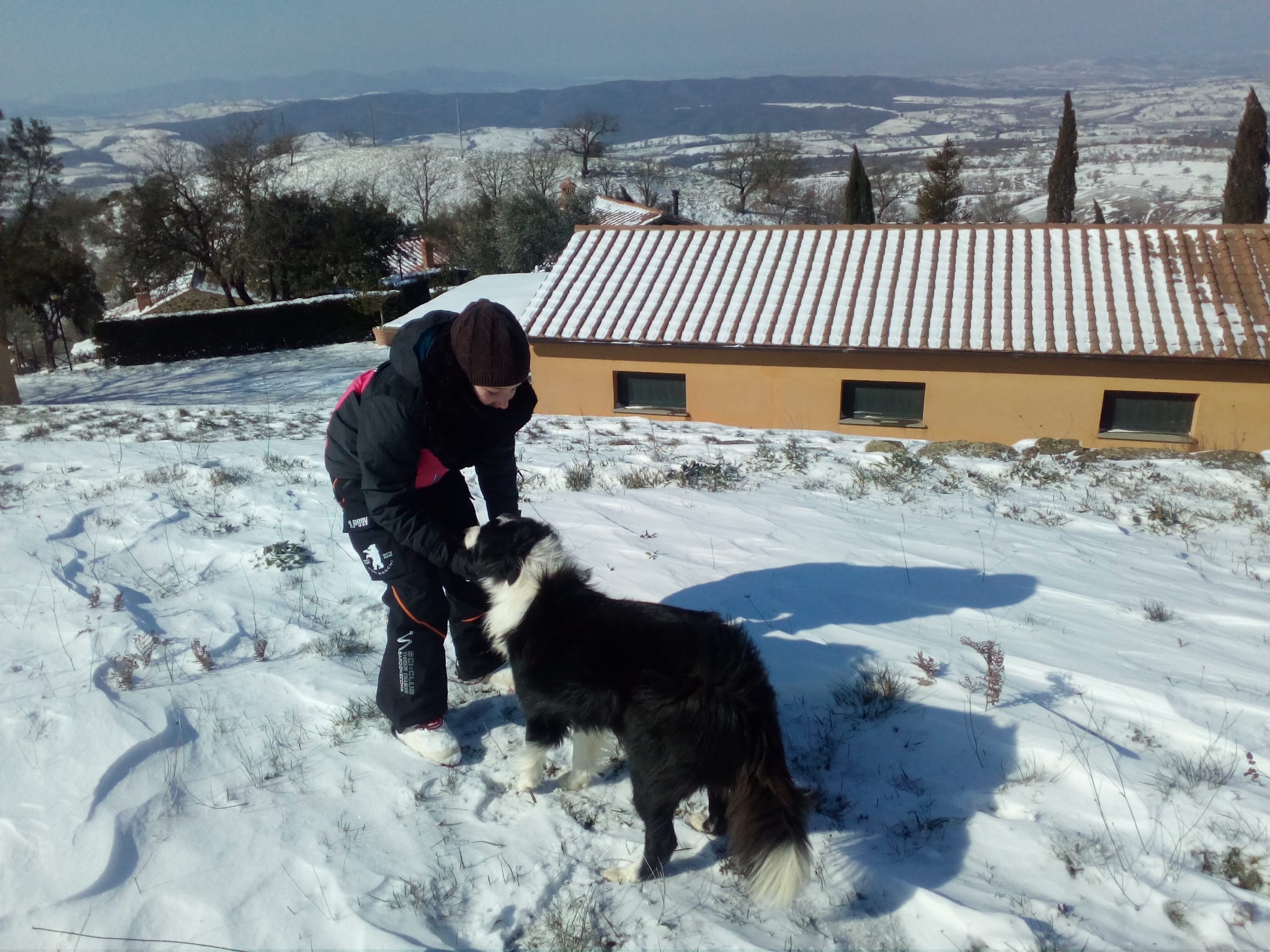 image-7