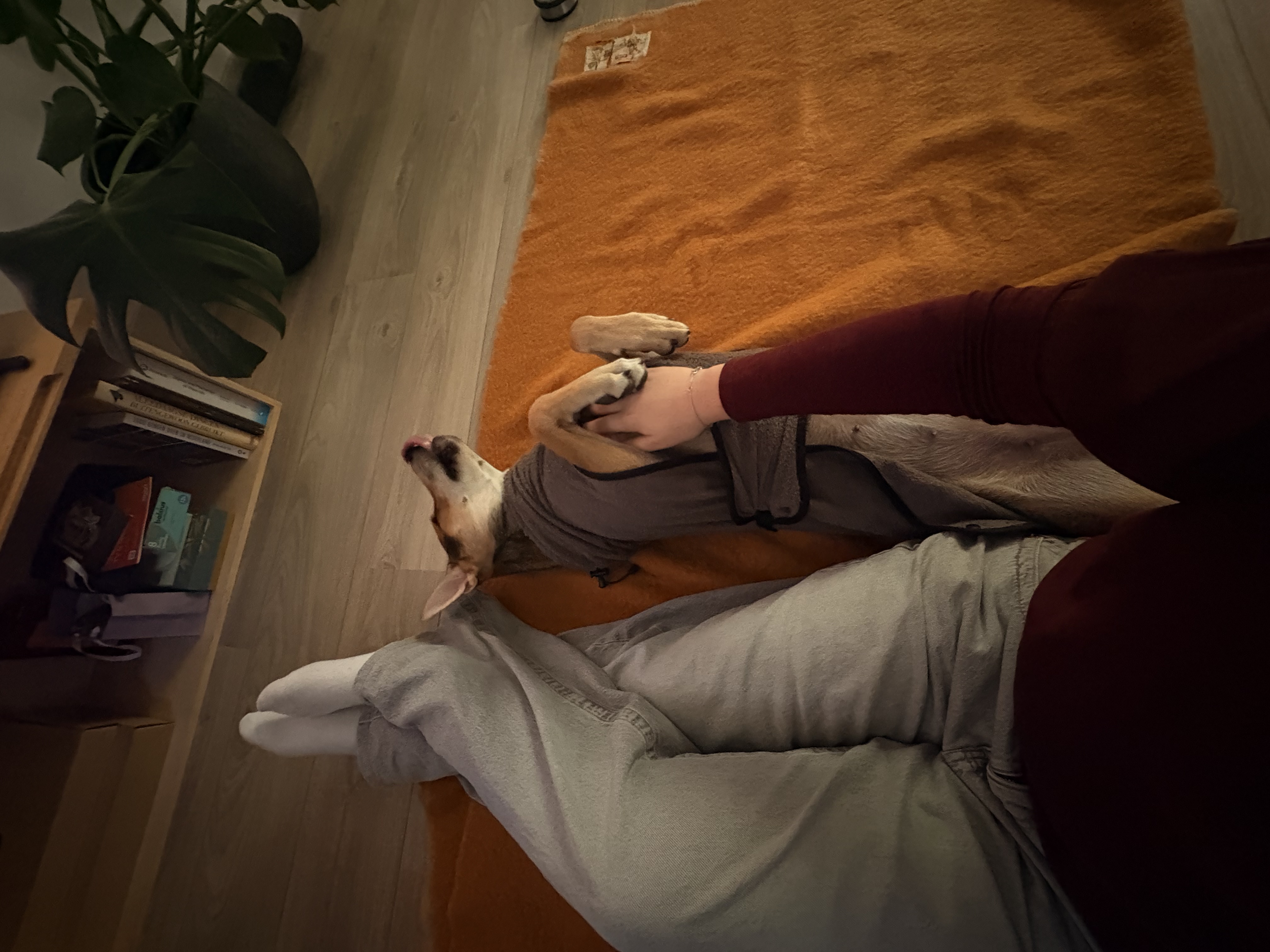 image-10