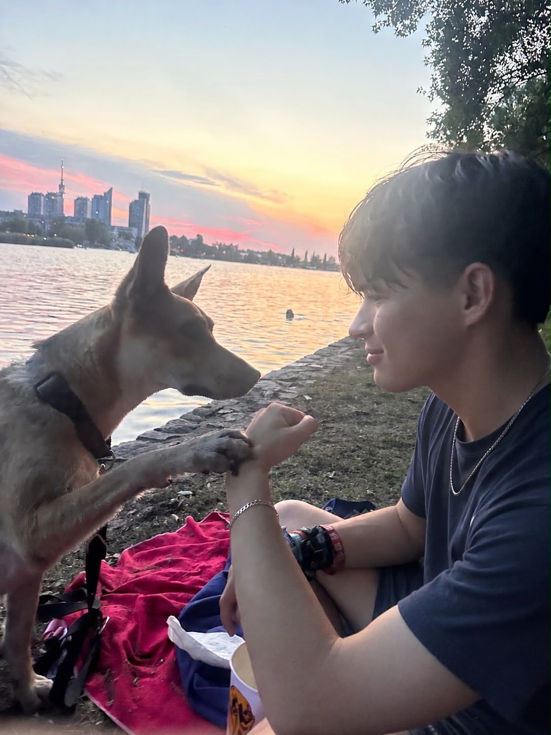 image-0