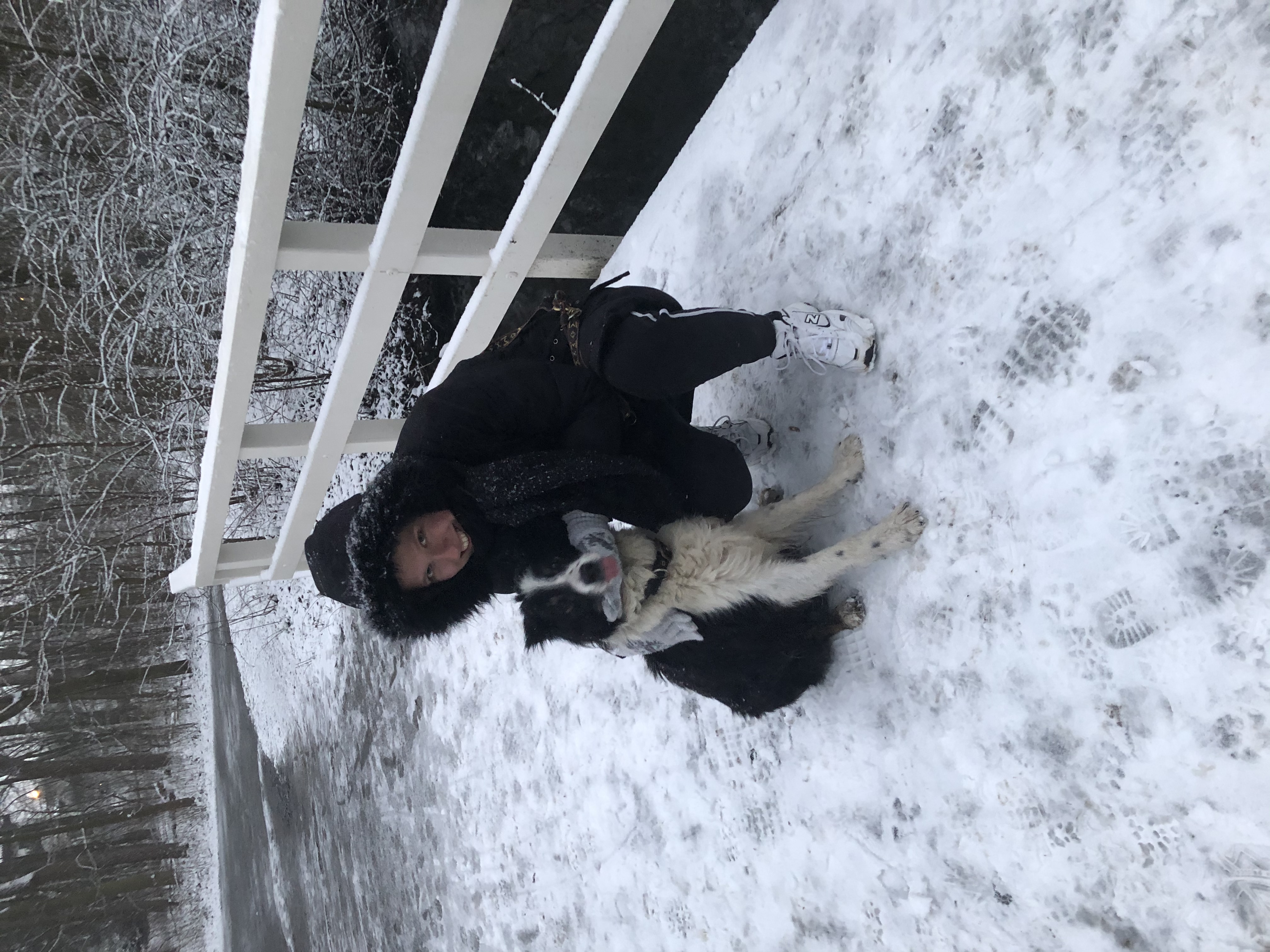 image-9