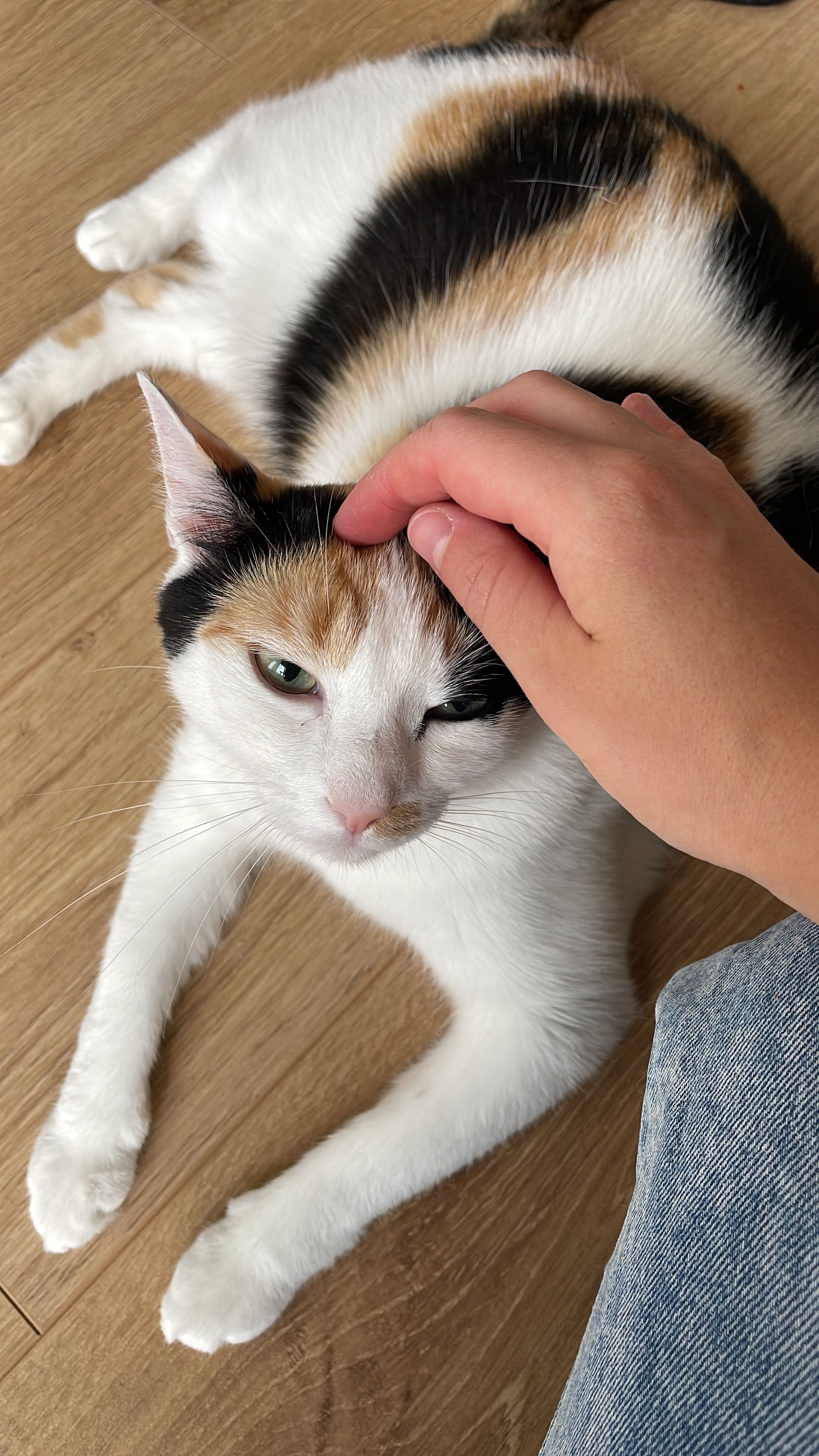 image-4
