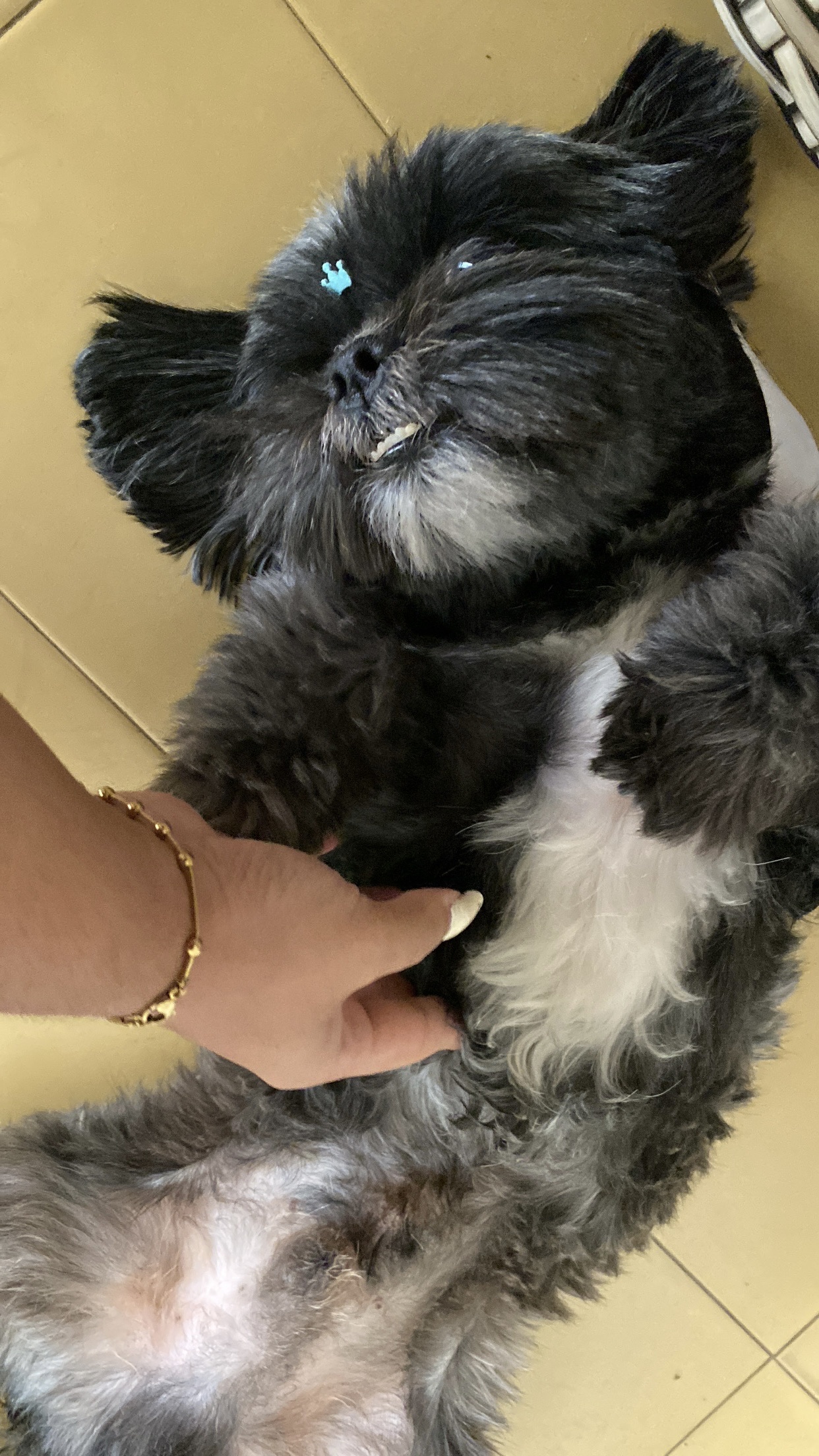 image-9