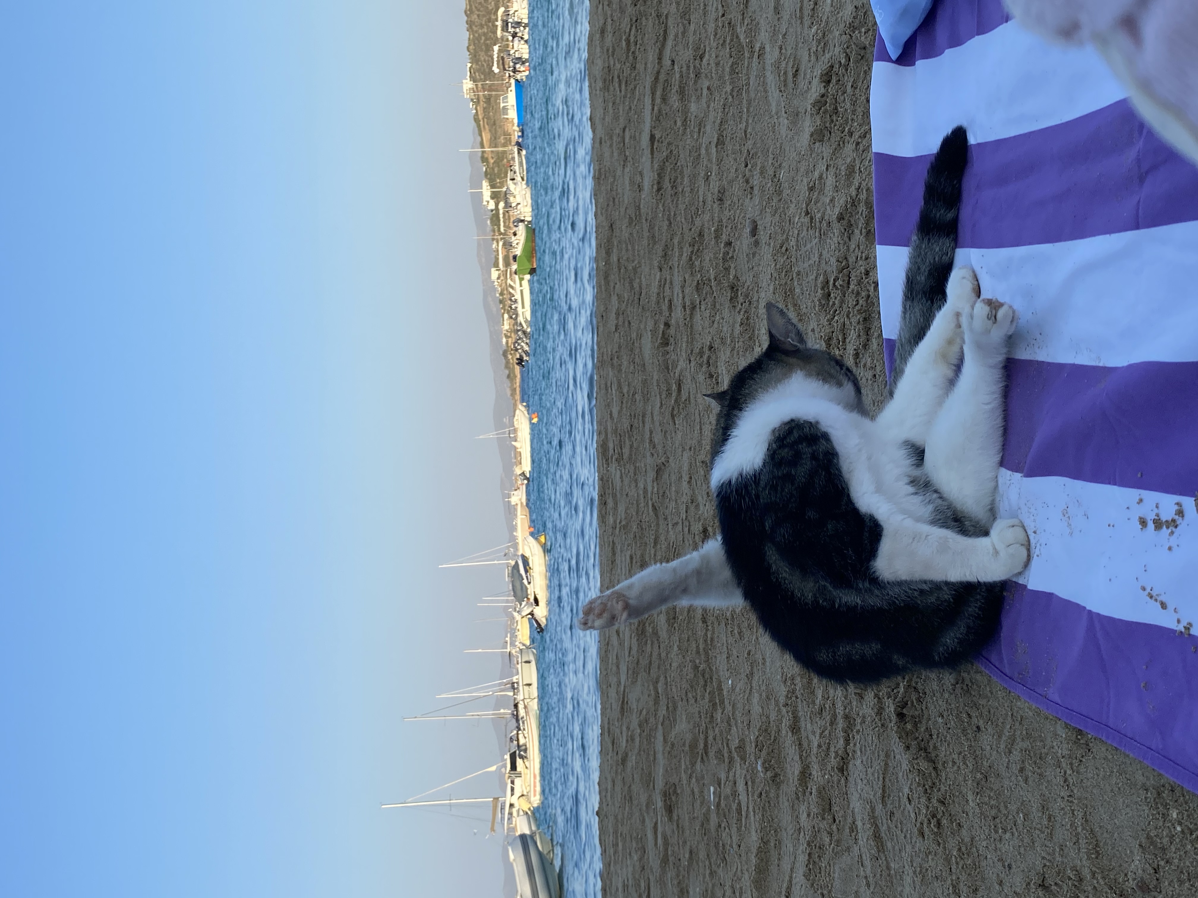 image-10