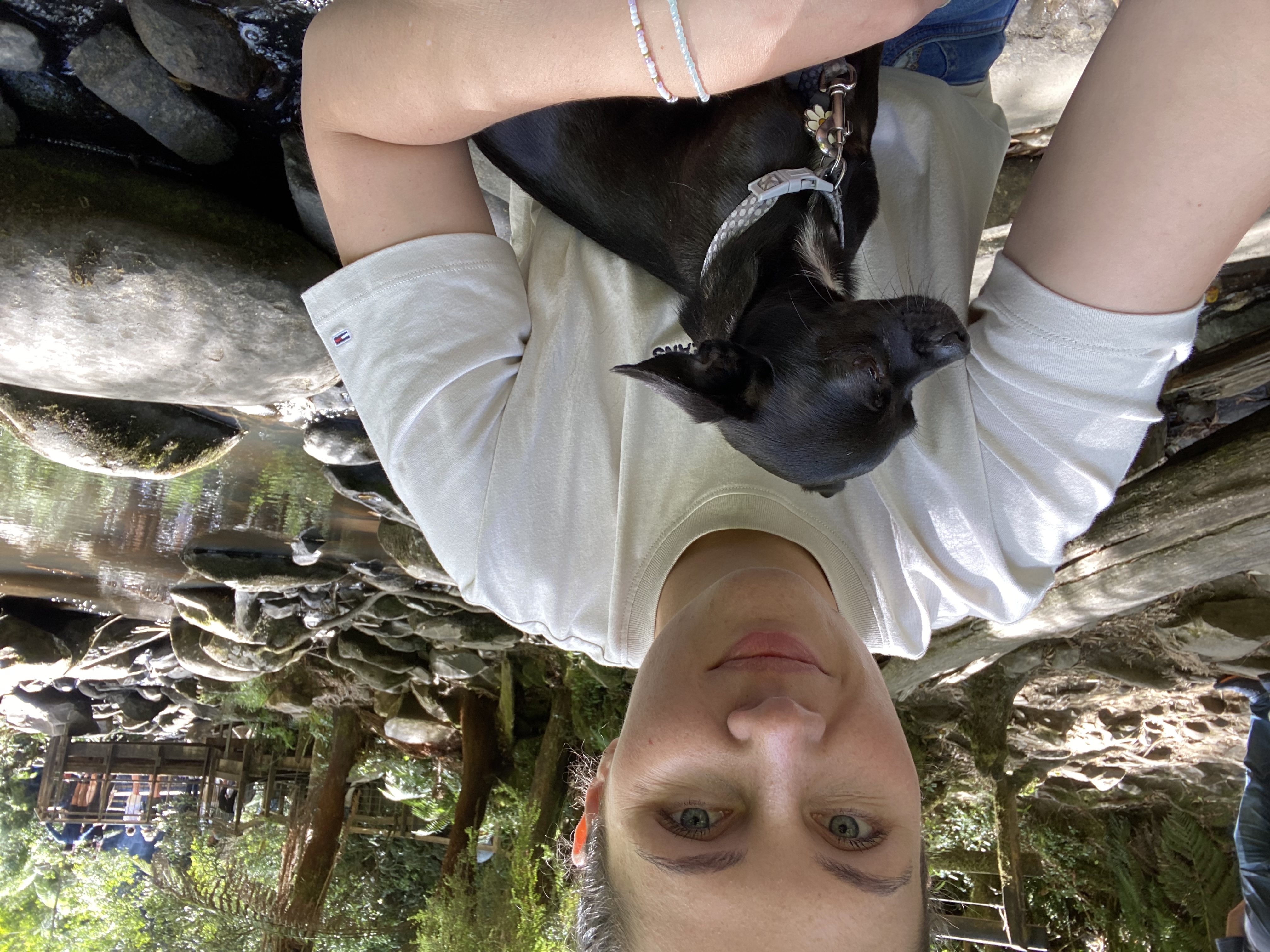 image-8