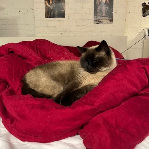 Nora