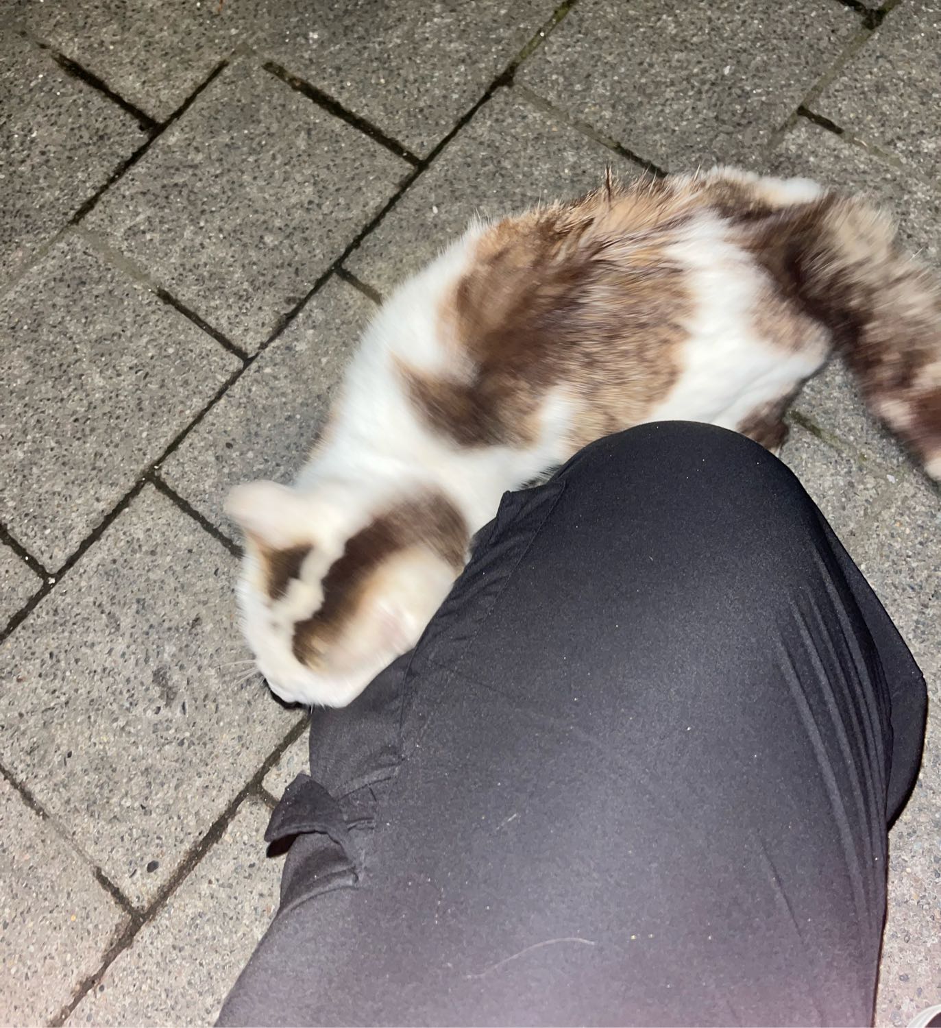 image-6