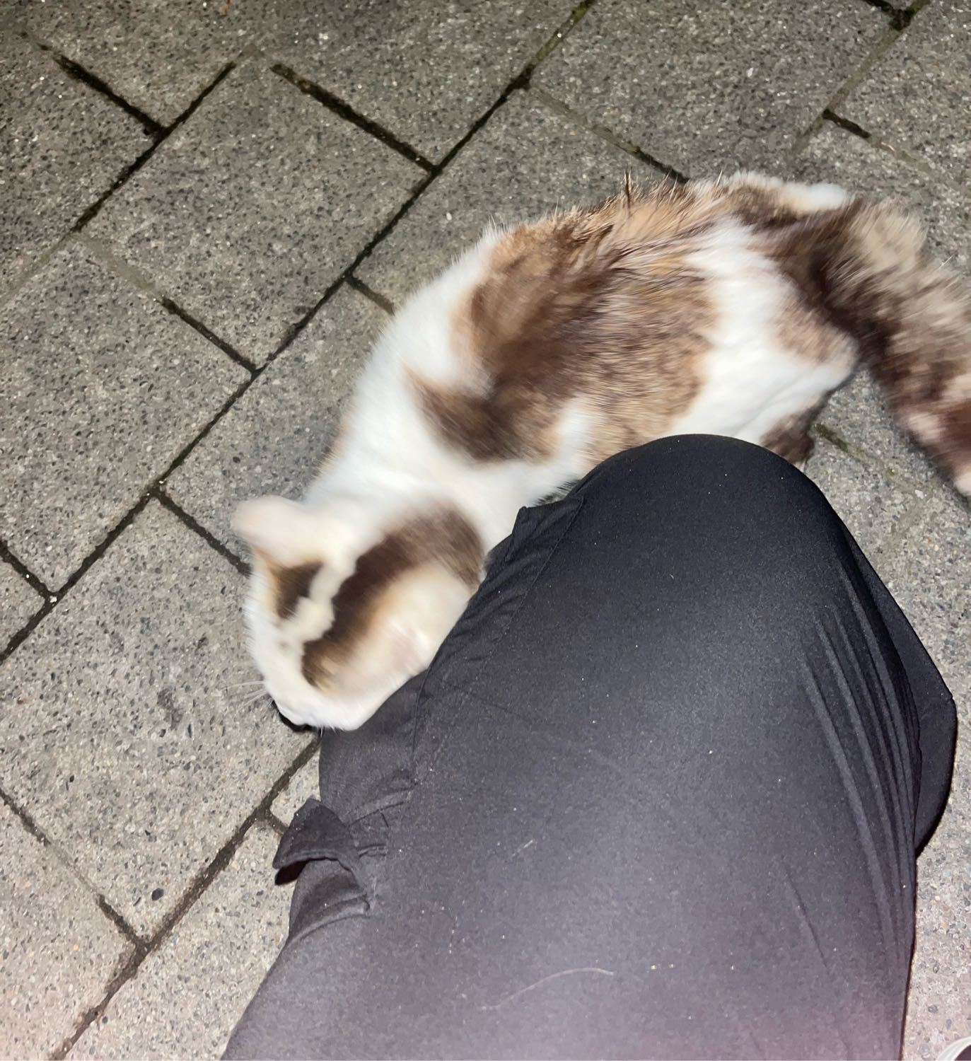 image-6