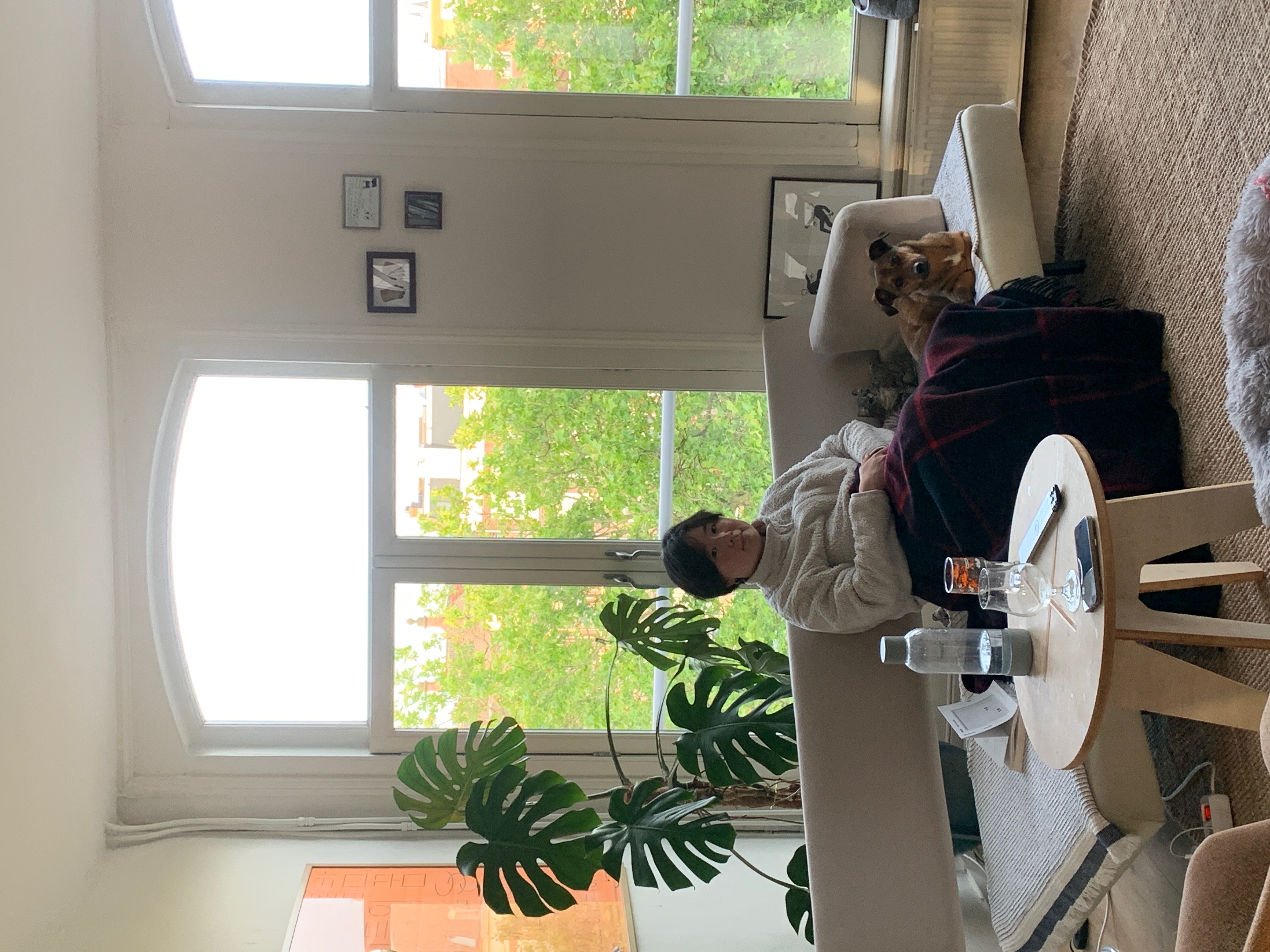 image-7