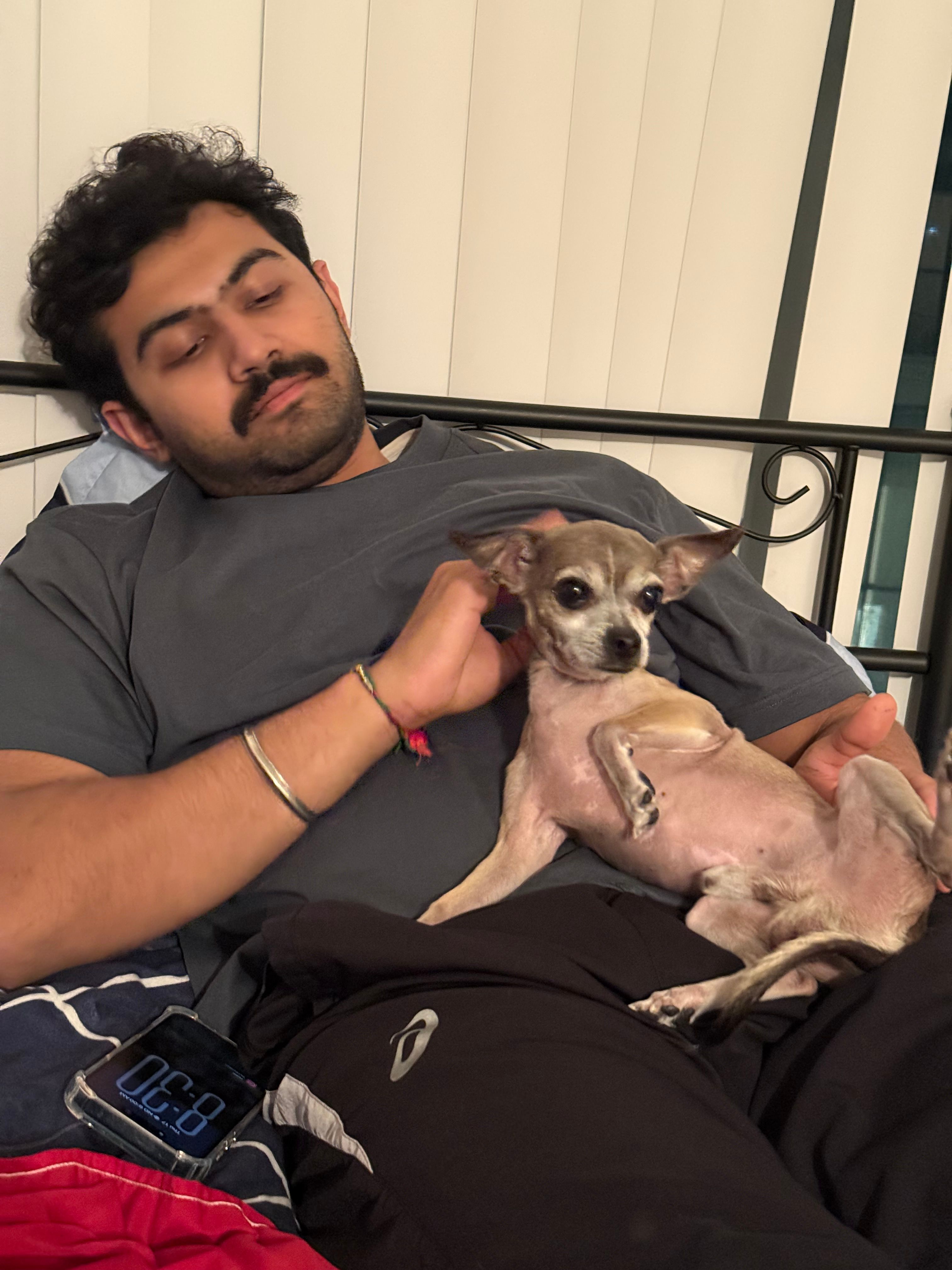 image-7