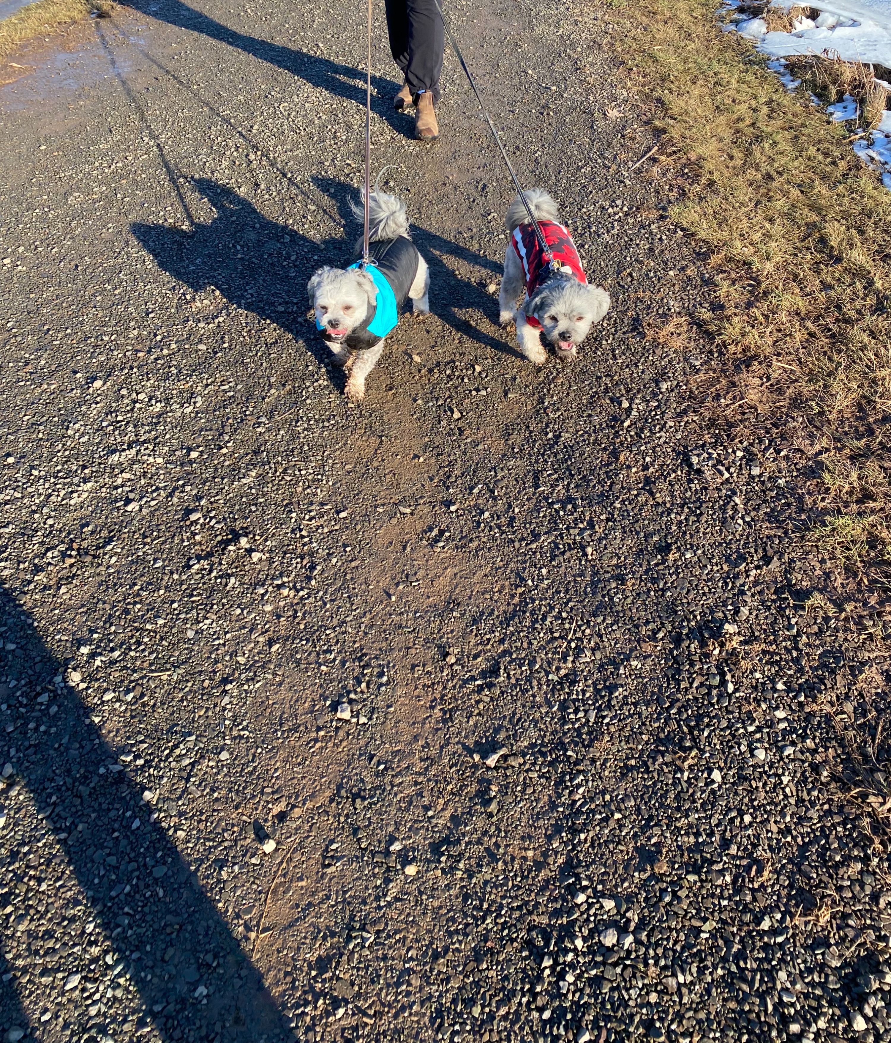image-2