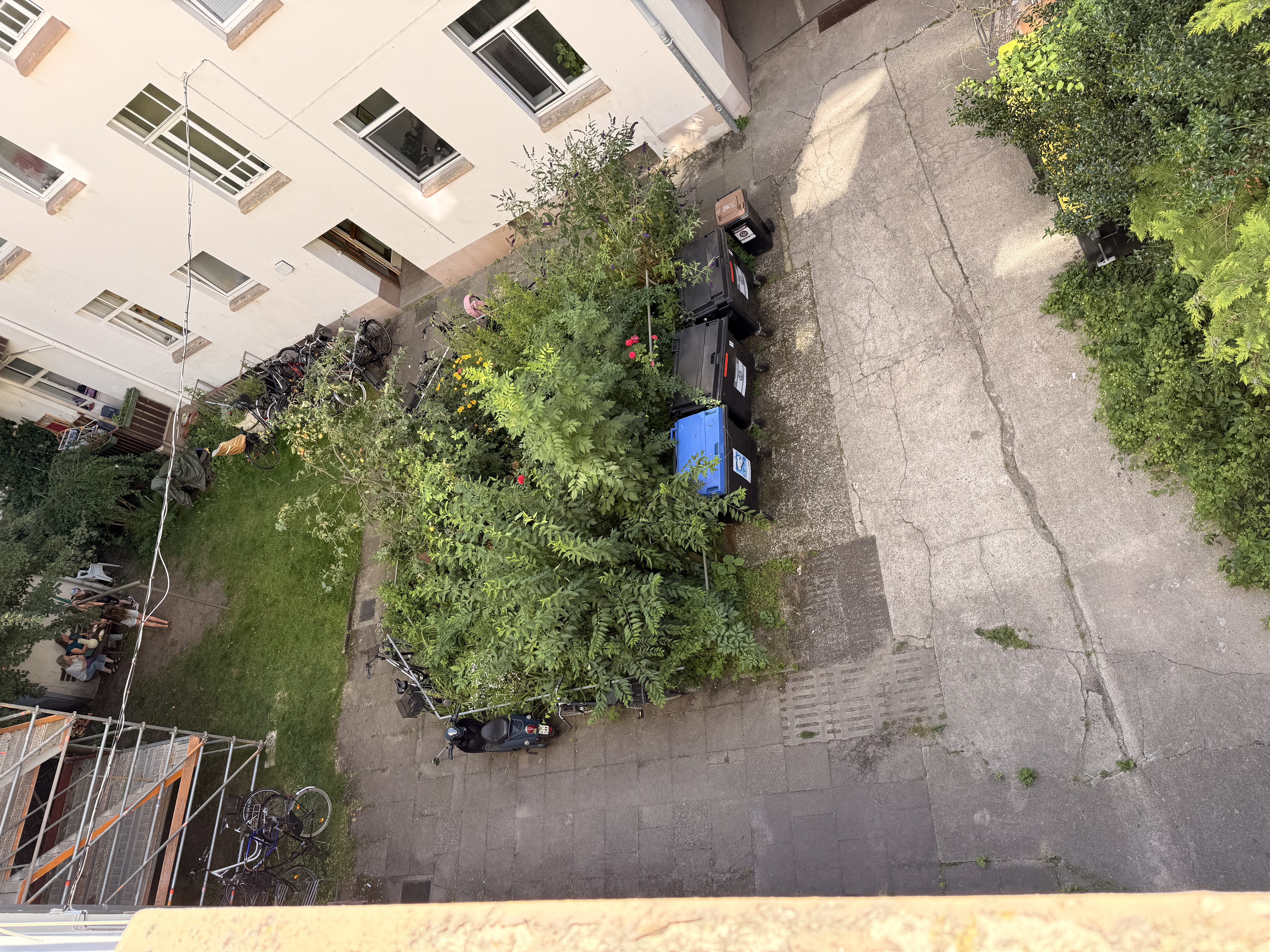 image-14